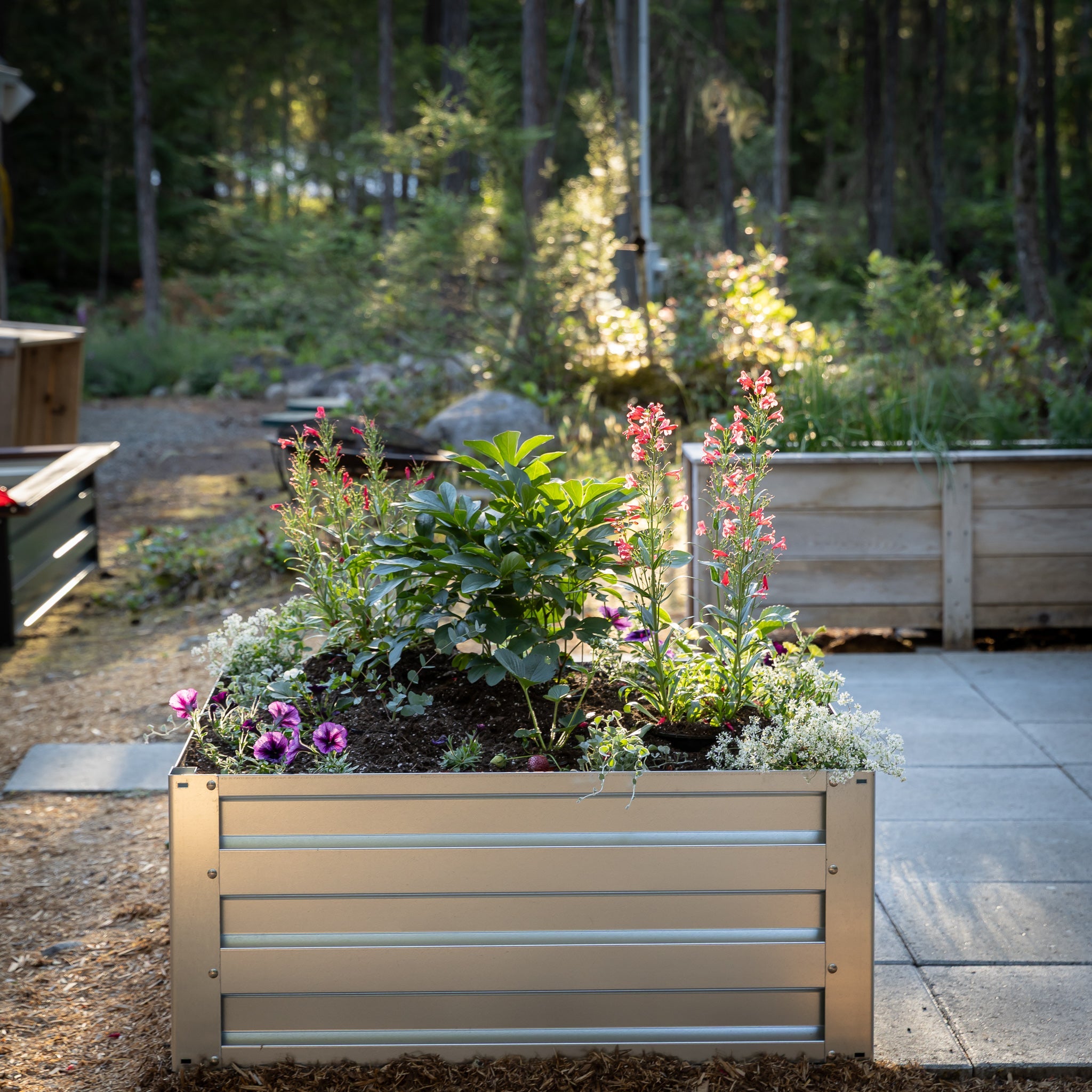 3.5' x 3.5' Galvanized Steel Raised Garden Bed Kit Chrome