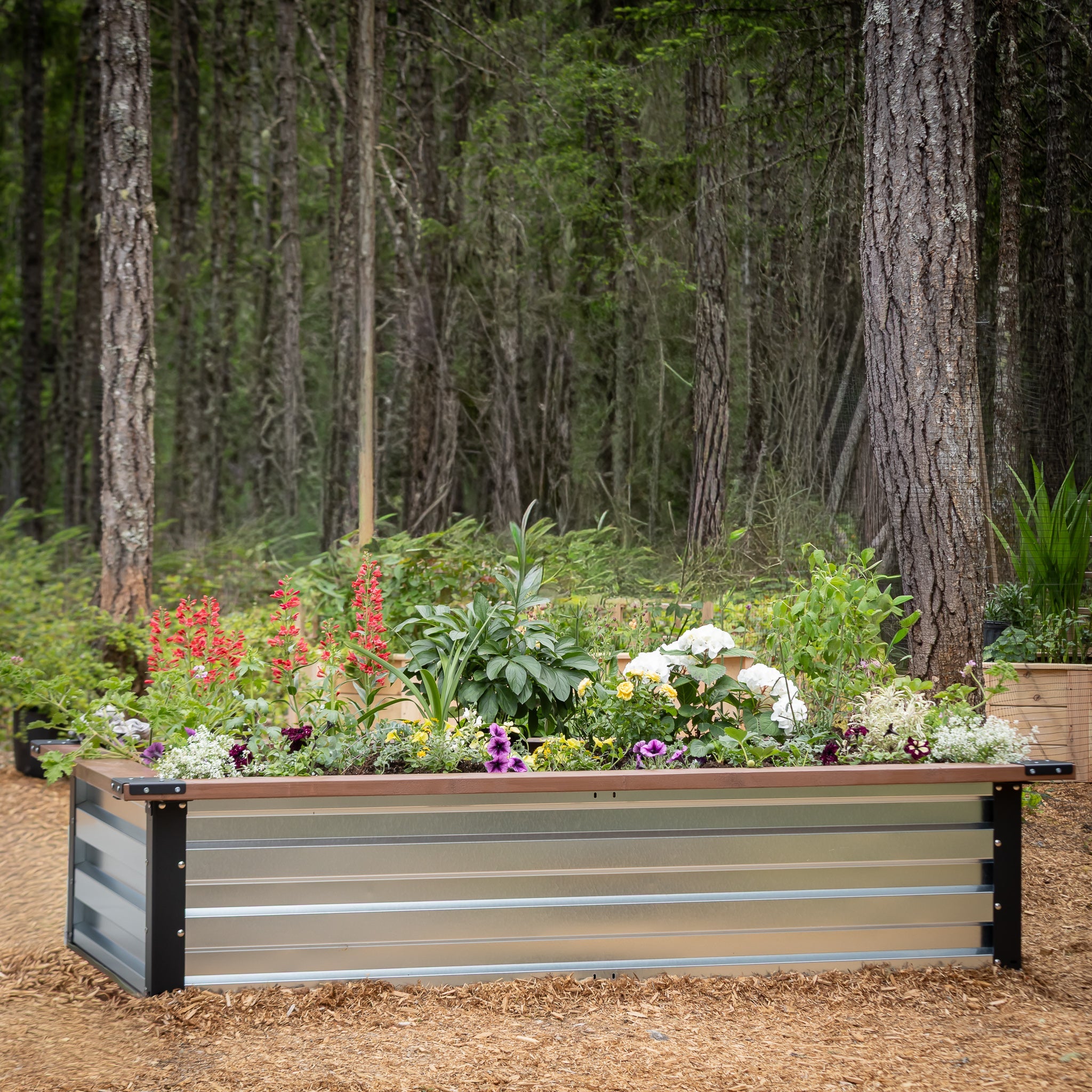 3.5' x 7' Galvanized Steel Raised Garden Bed Kit Chrome option3