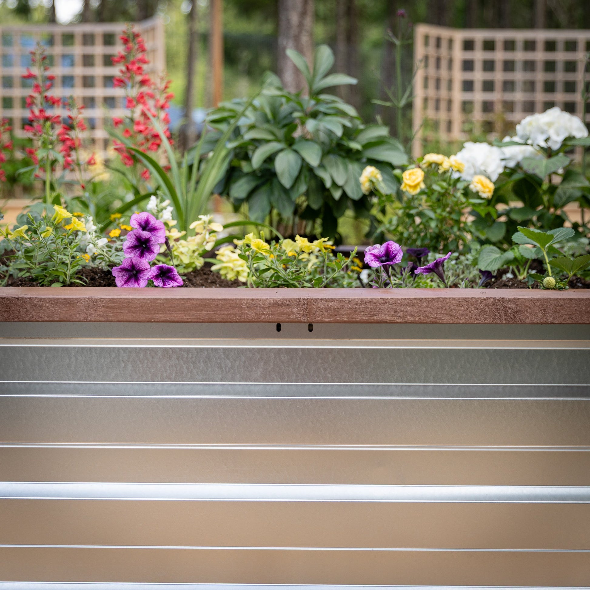 3.5' x 7' Galvanized Steel Raised Garden Bed Kit Chrome