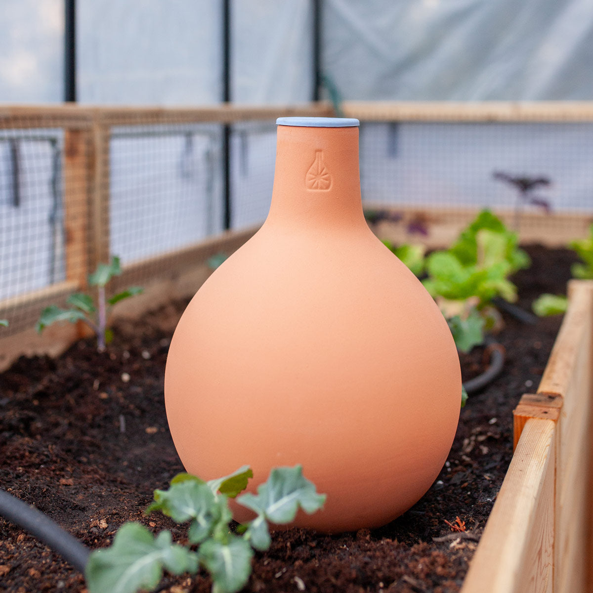 watering pots for plants GrowOya 1020-6 Vessel Pot Planter Large