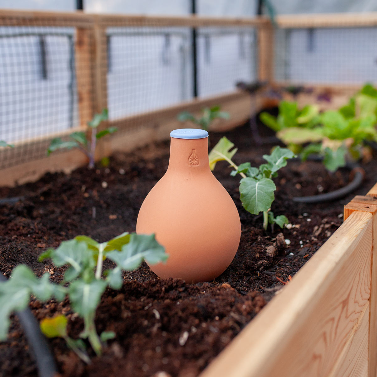 Oya Clay Watering Vessel