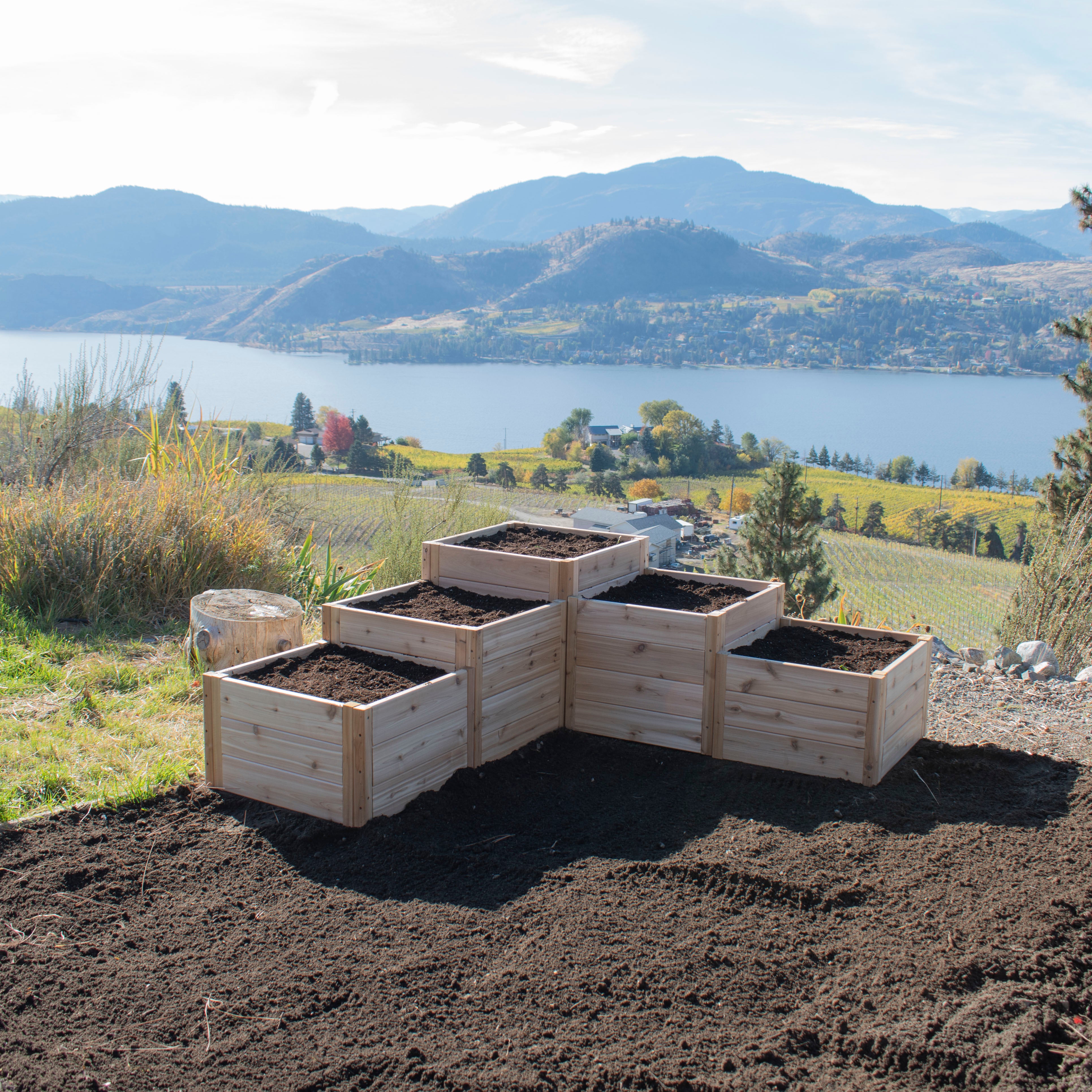 L-Shaped Tiered Cedar Garden Bed 5.5' x 2'