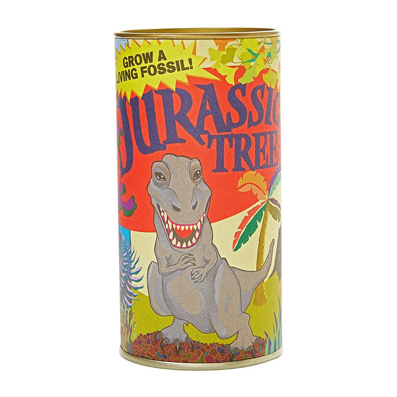 Jurassic Dawn Redwood Tree Grow Kit