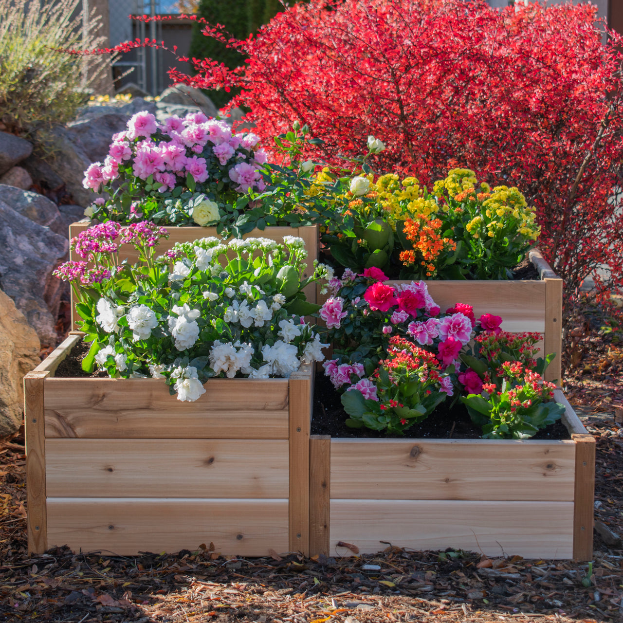 Tiered Corner Cedar Garden Bed  3.5' × 4'