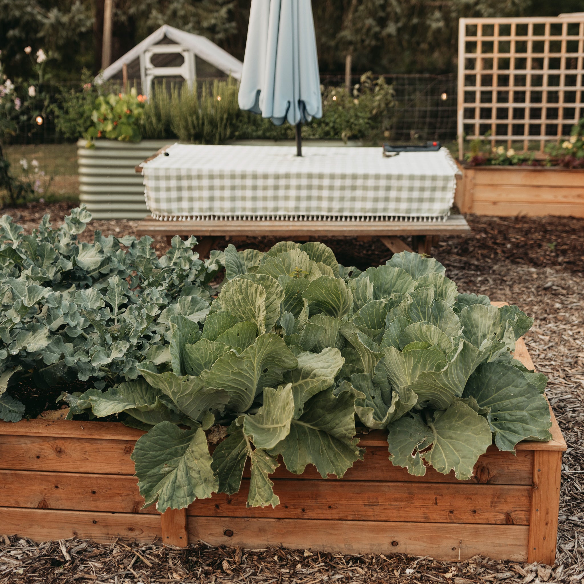 Natural Cedar Raised Garden Beds