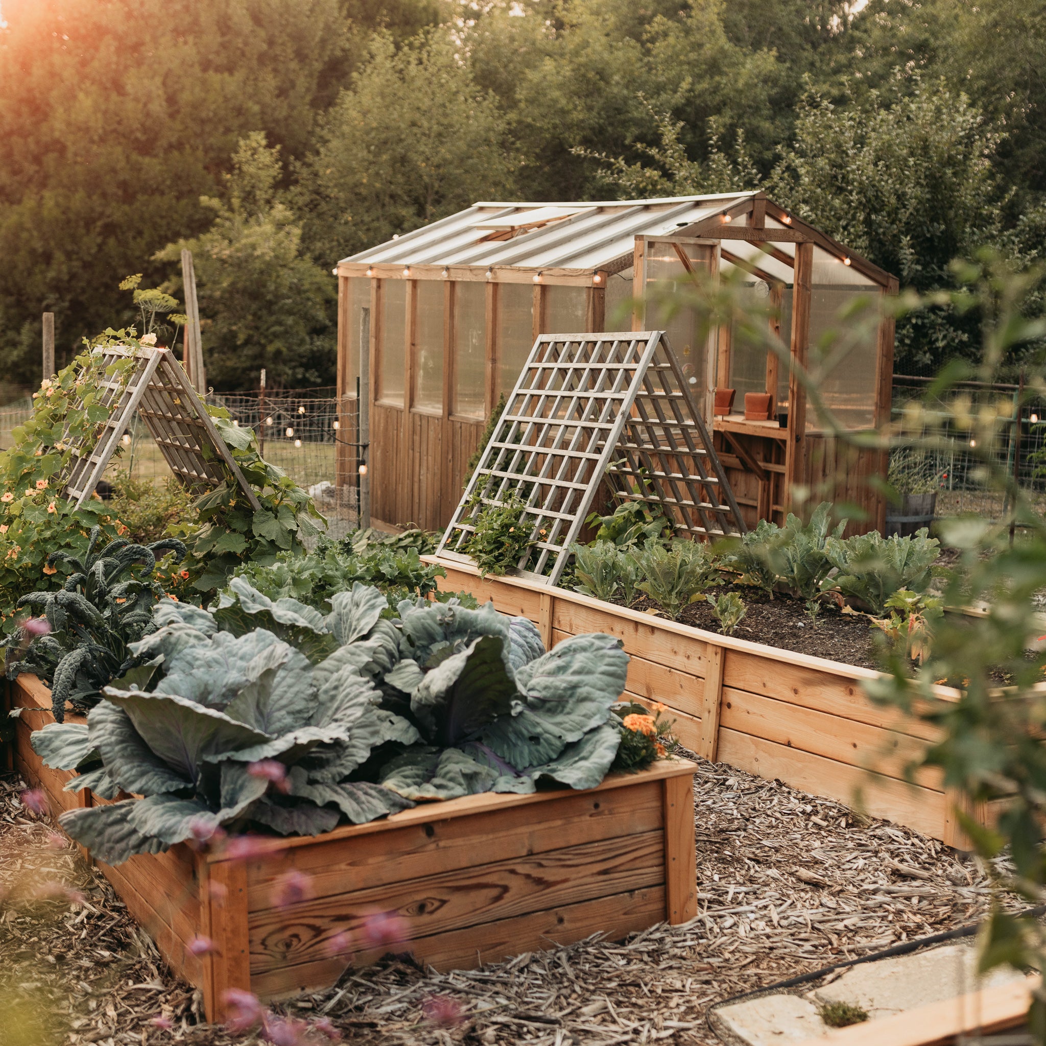 Natural Cedar Raised Garden Beds