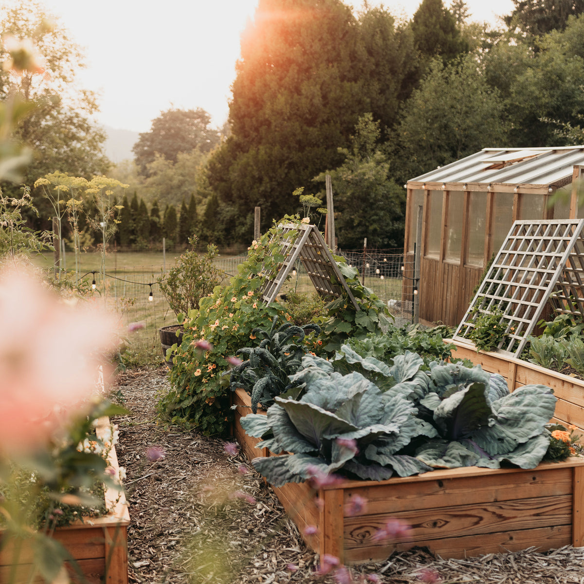 Natural Cedar Raised Garden Beds