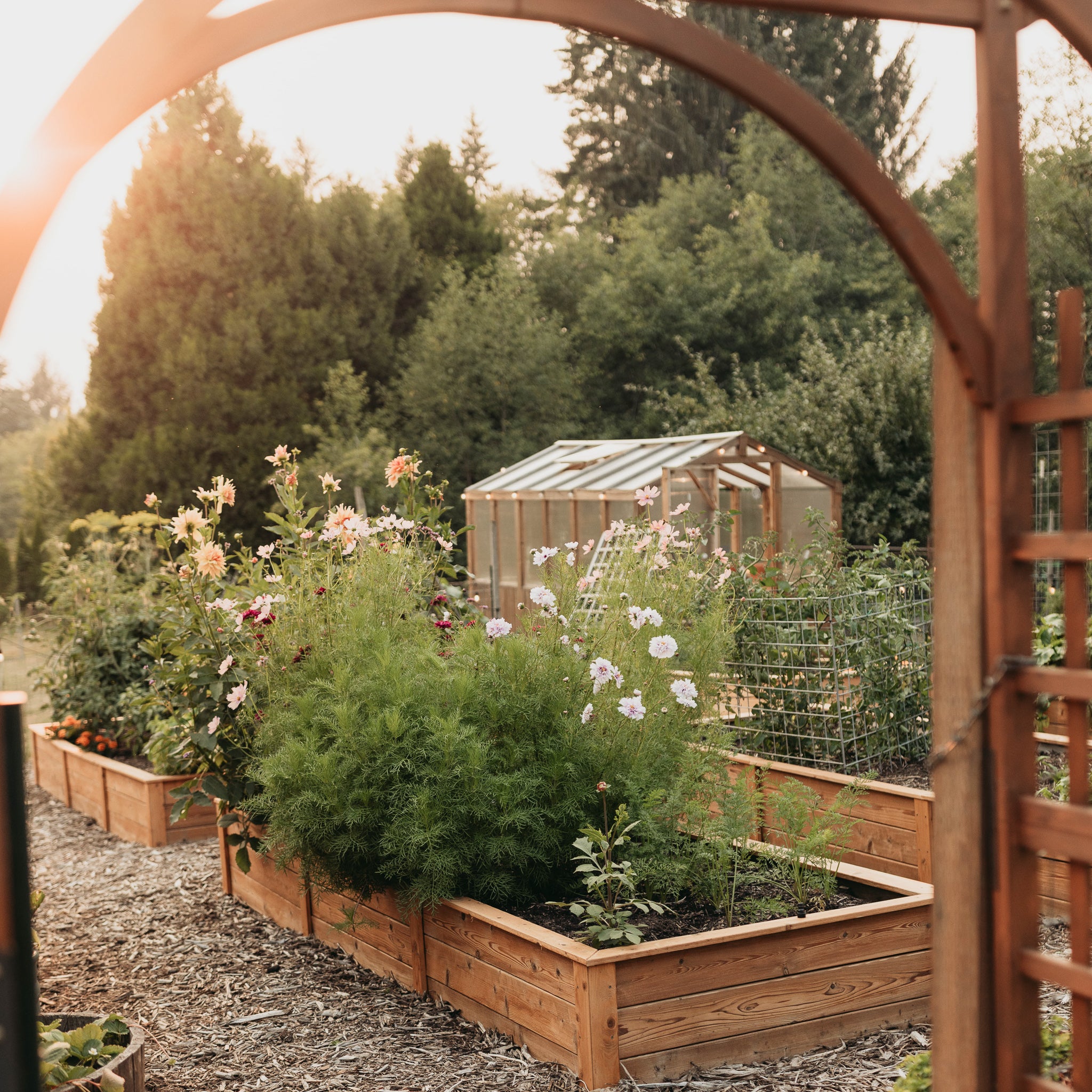 Natural Cedar Raised Garden Beds