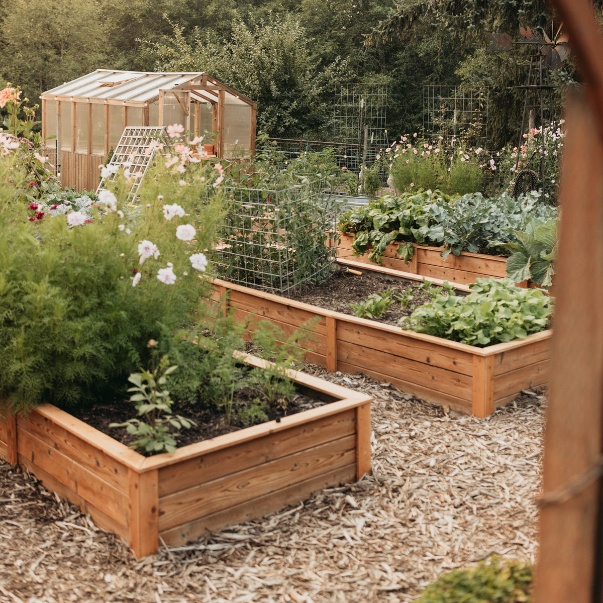 Natural Cedar Raised Garden Beds
