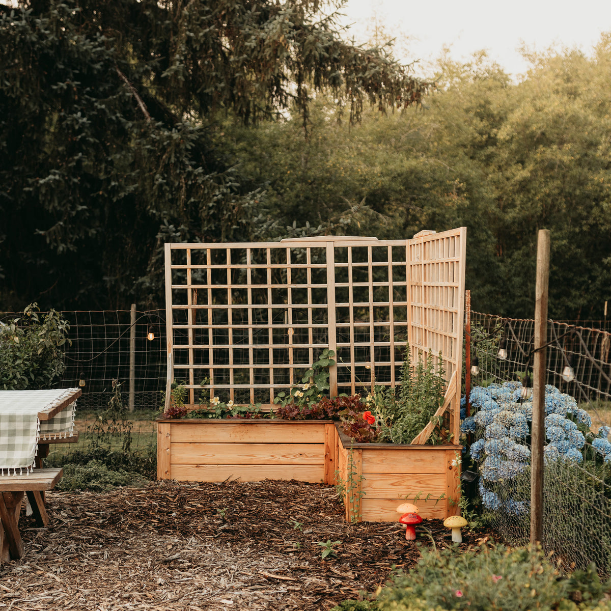 Natural Cedar L-Shaped Raised Garden Bed with Trellis