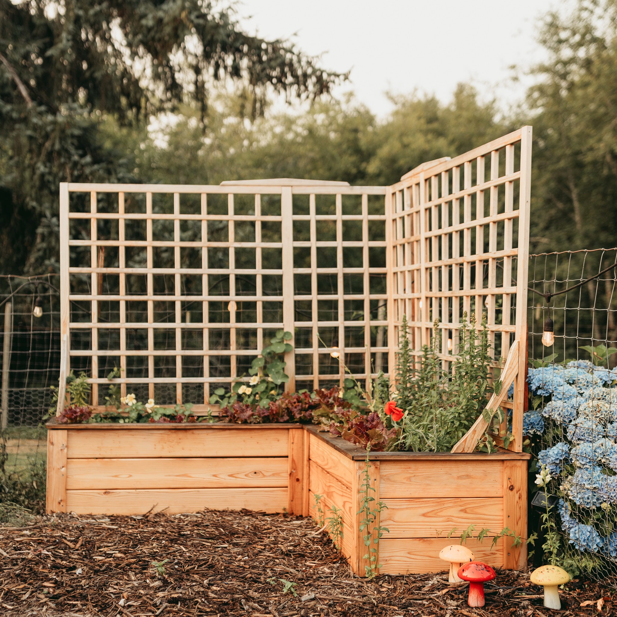 Natural Cedar L-Shaped Raised Garden Bed with Trellis