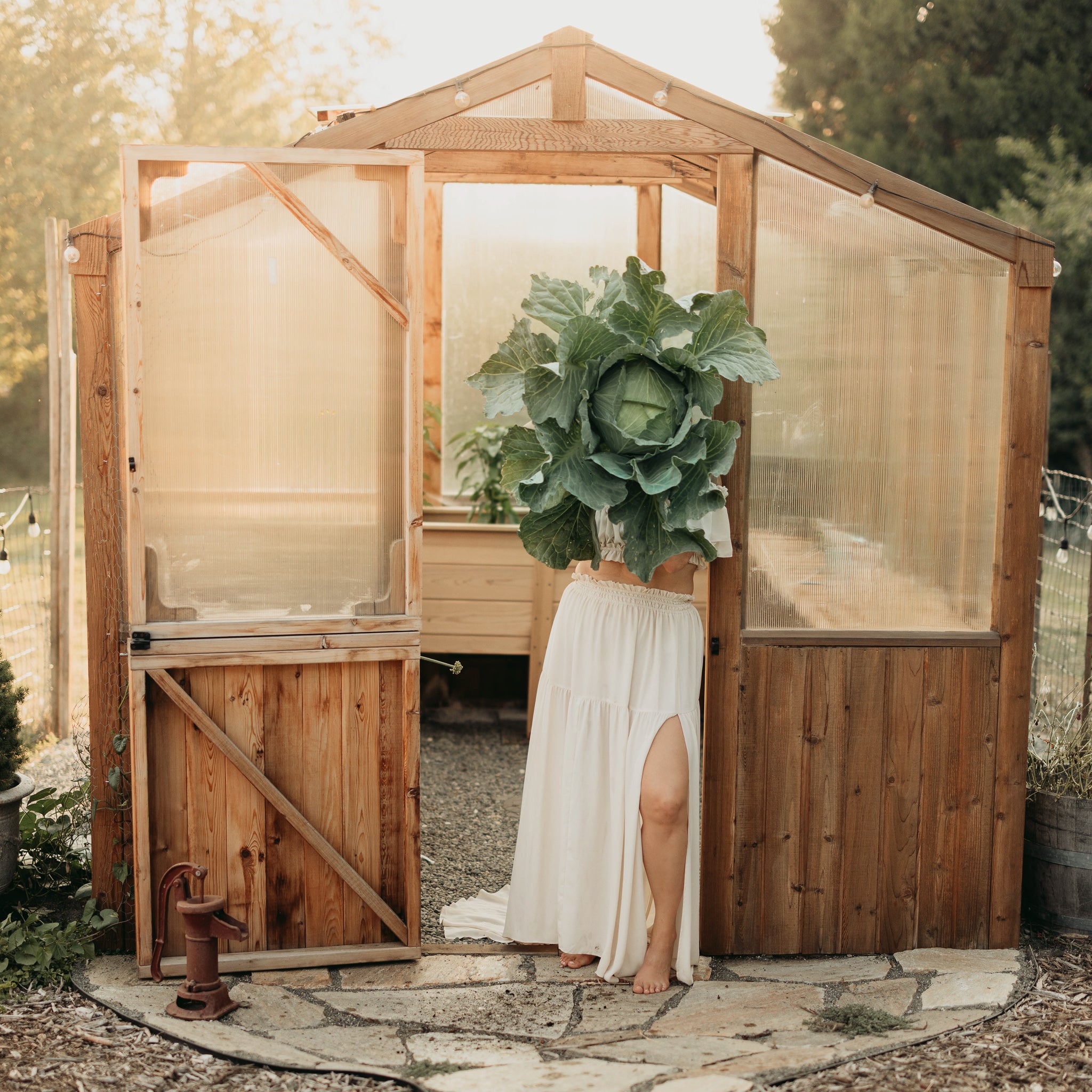 8' x 12' Western Red Cedar Greenhouse Kit - Eartheasy