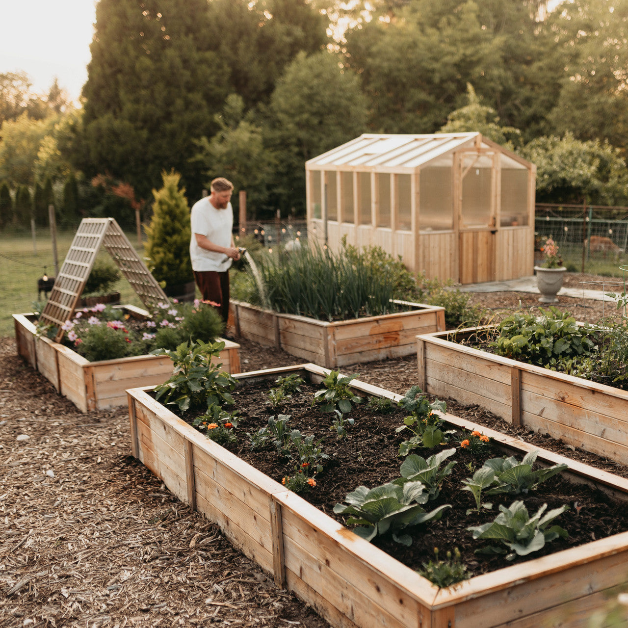 Natural Cedar Raised Garden Bed Kits | Eartheasy.com