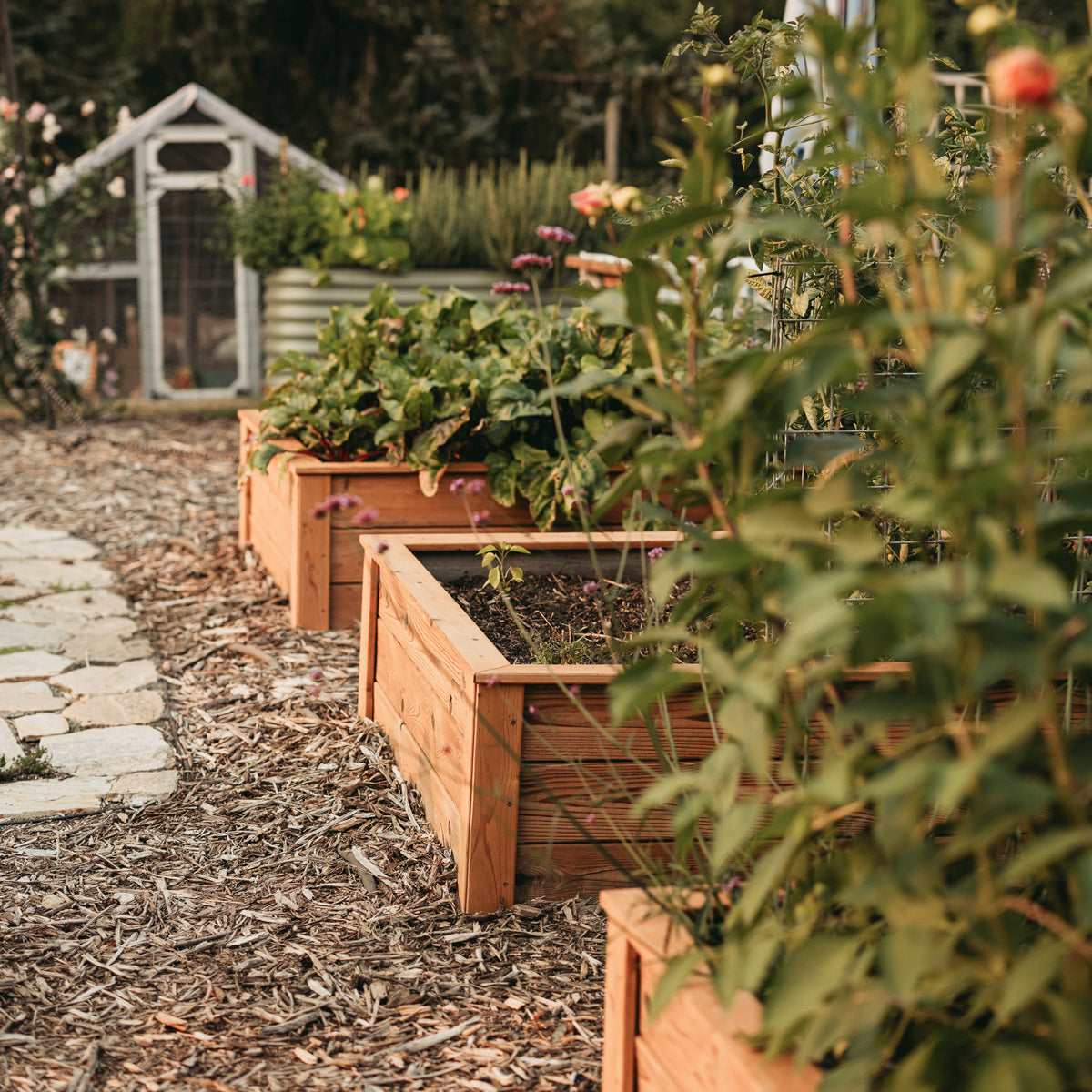 Natural Cedar Raised Garden Beds
