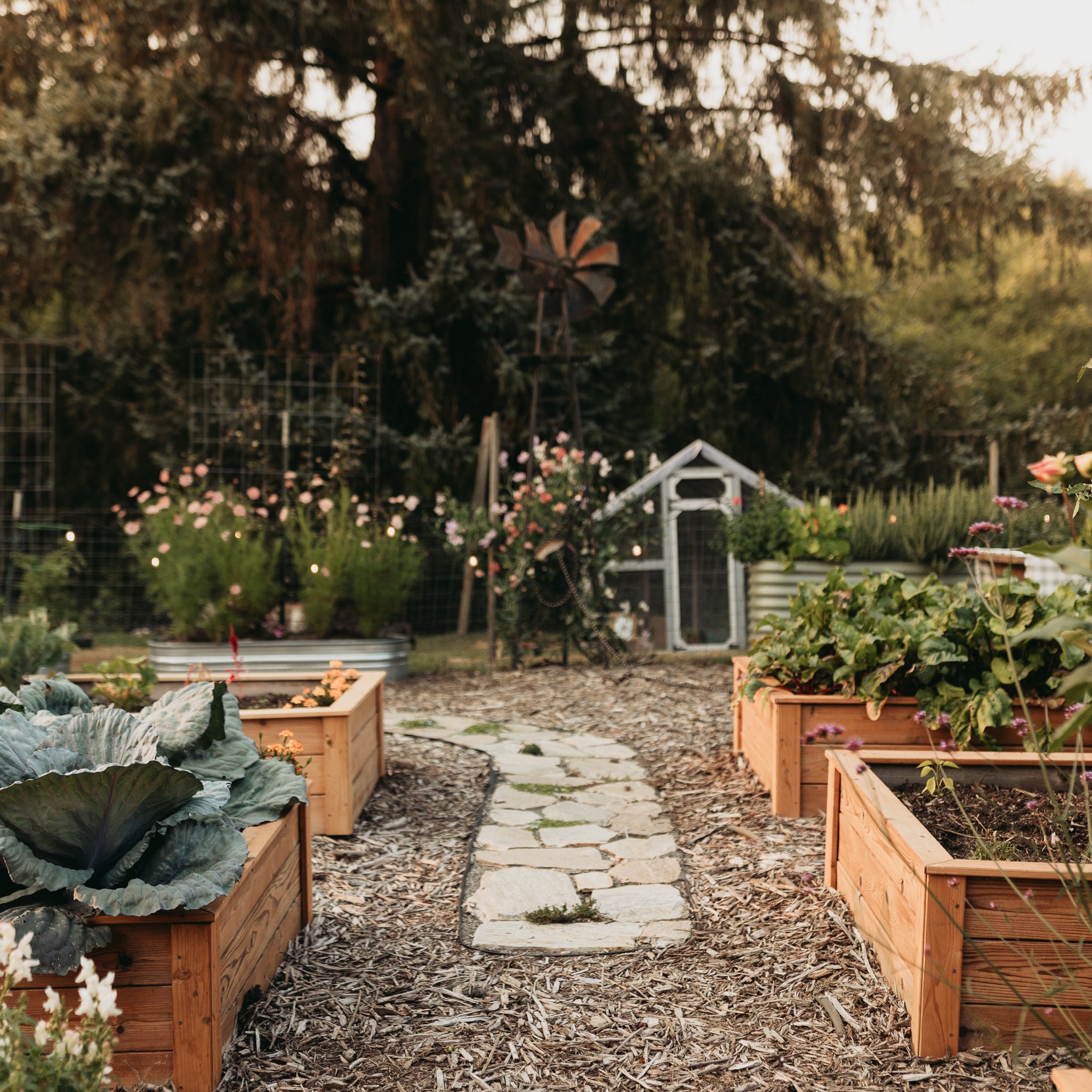 Natural Cedar Raised Garden Beds