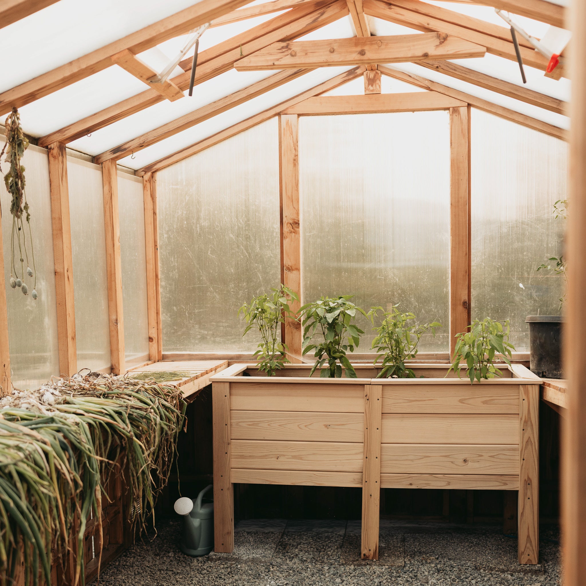 Natural Cedar Elevated Garden Planter