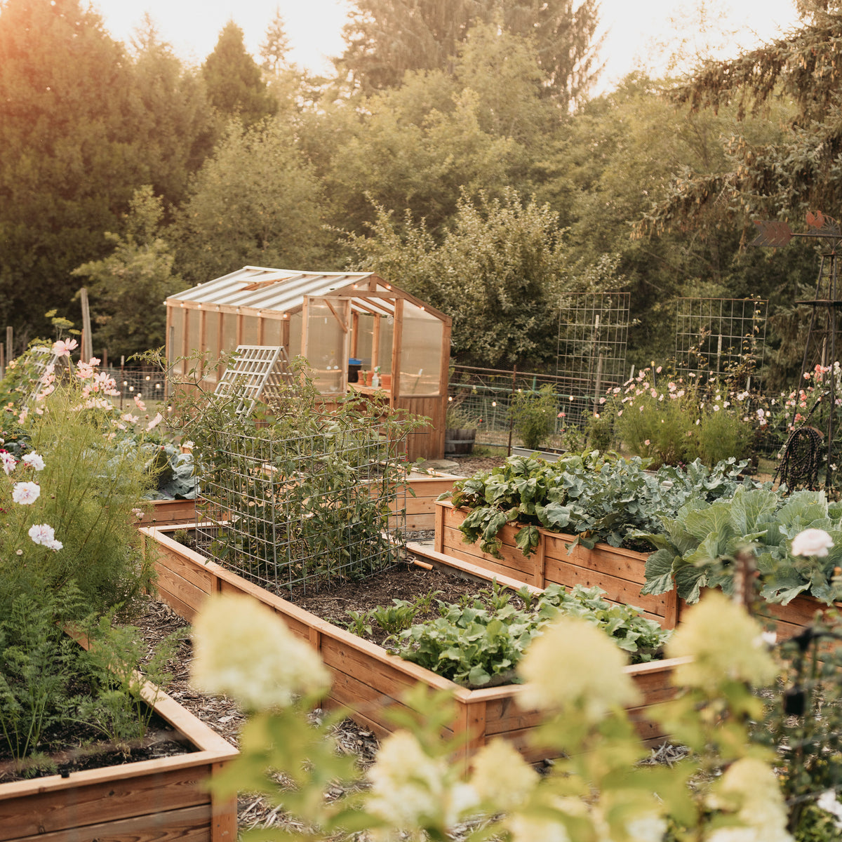 Natural Cedar Raised Garden Beds
