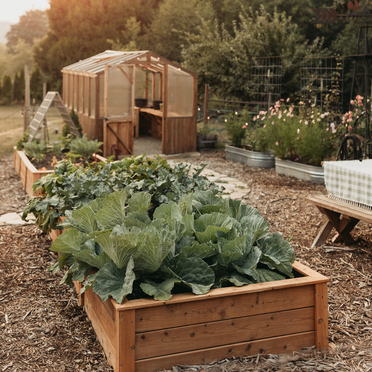 Natural Cedar Raised Garden Beds