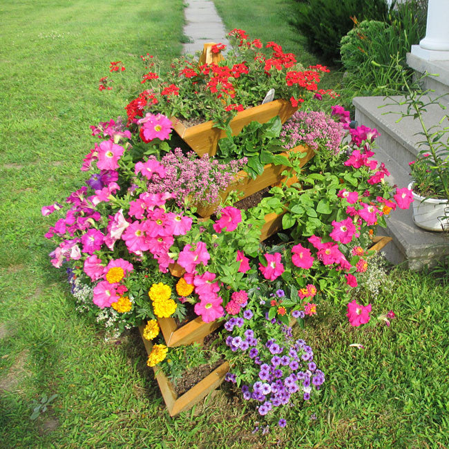 5 Level Plant Pyramid