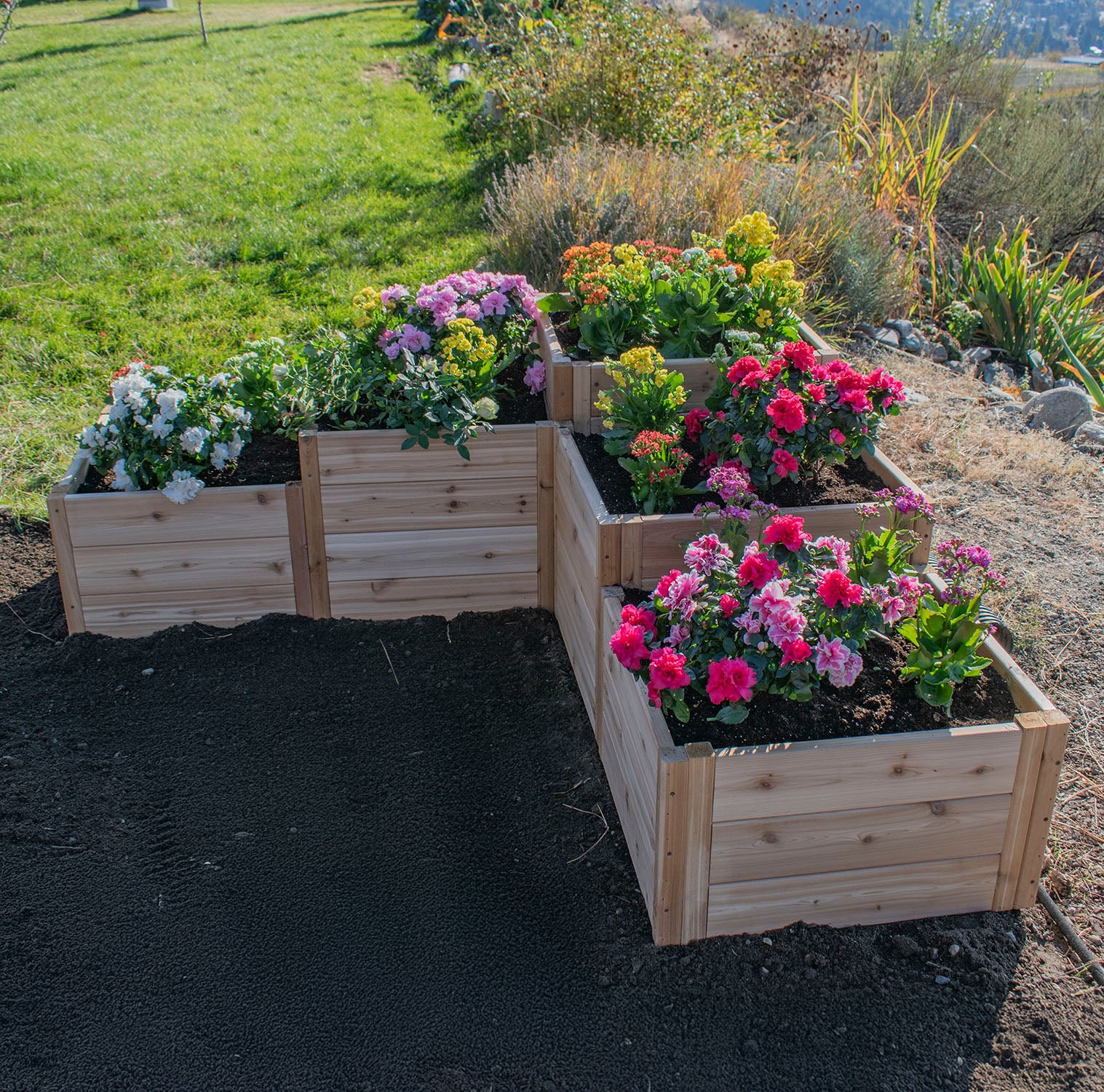 L-Shaped Tiered Cedar Garden Bed 5.5' x 2'