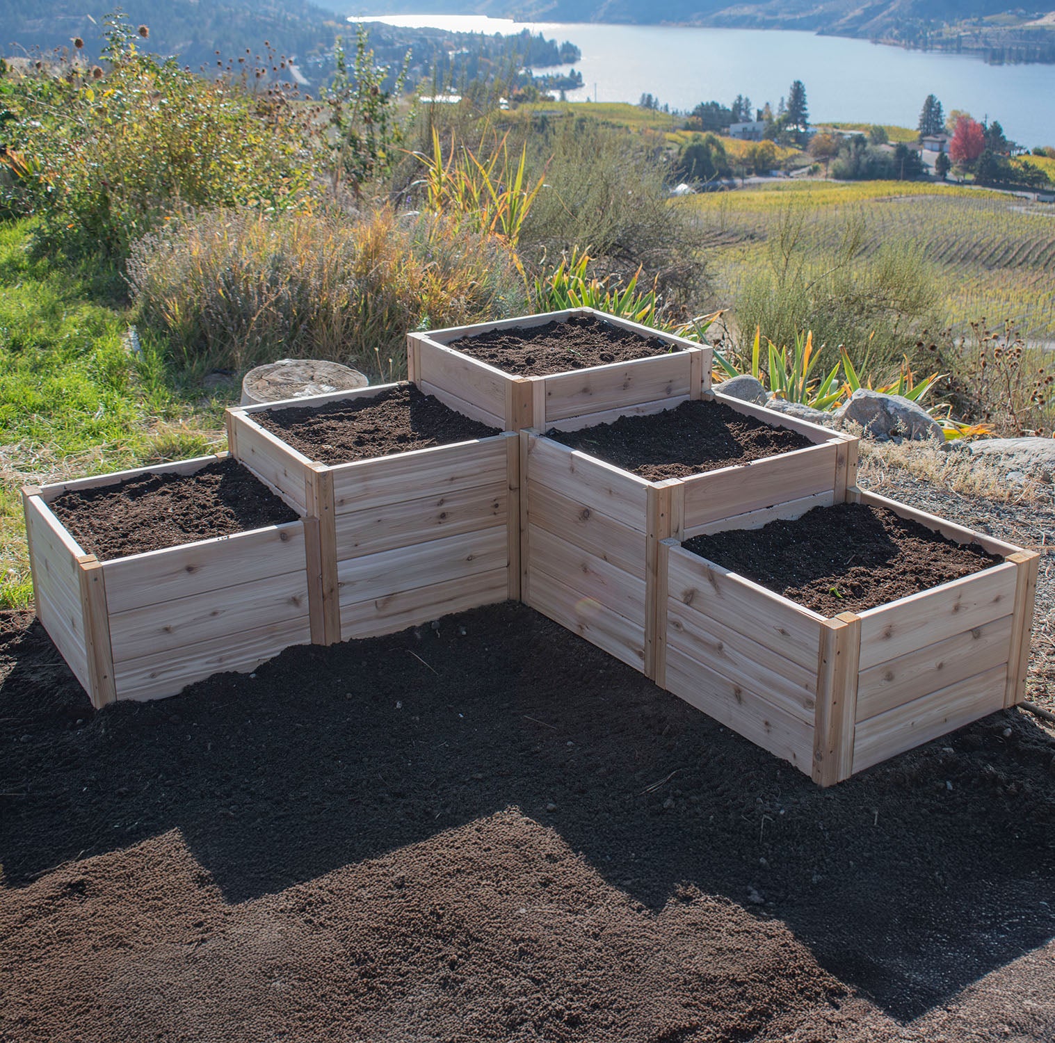 L-Shaped Tiered Cedar Garden Bed 5.5' x 2'