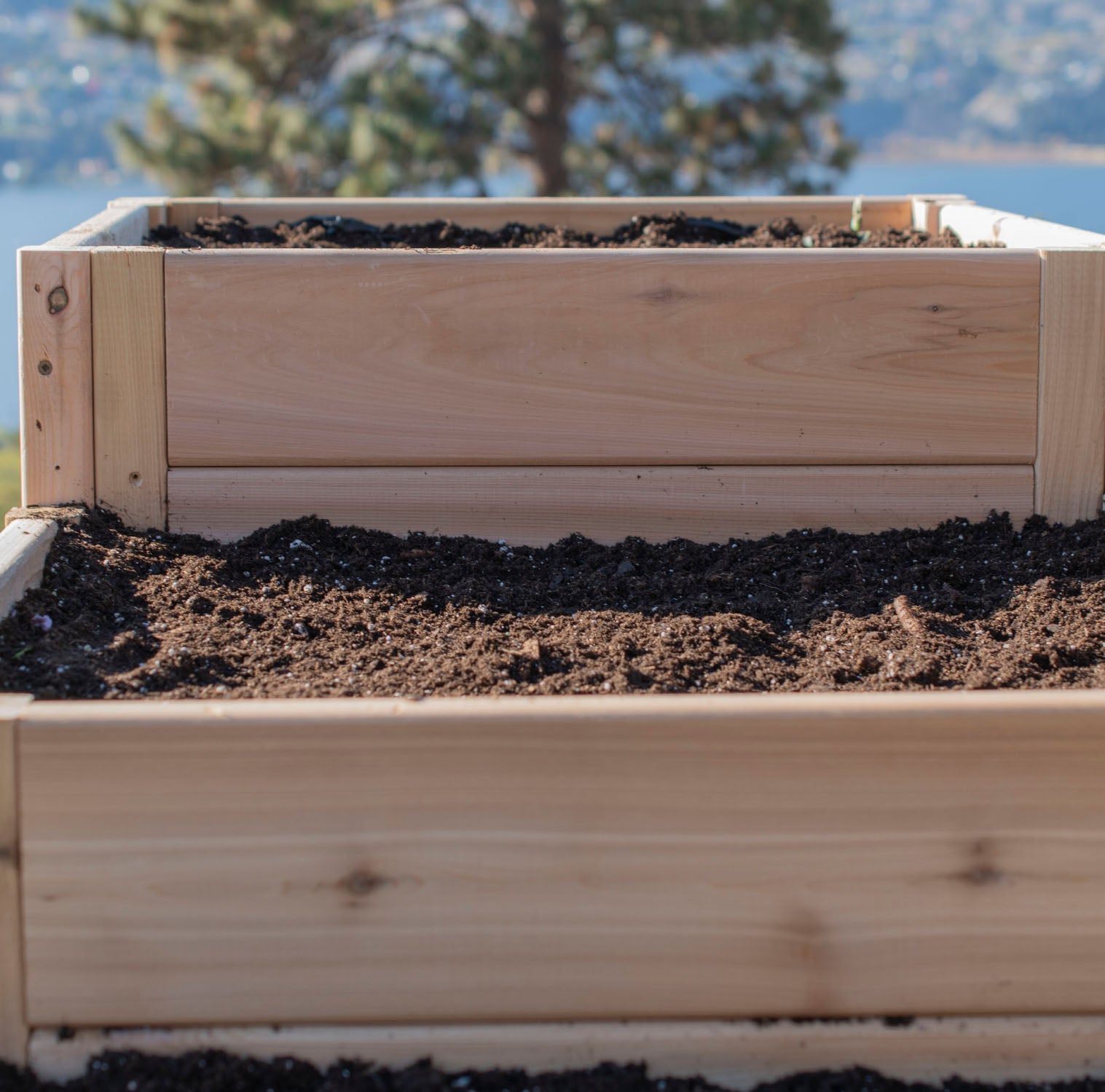 L-Shaped Tiered Cedar Garden Bed 5.5' x 2'