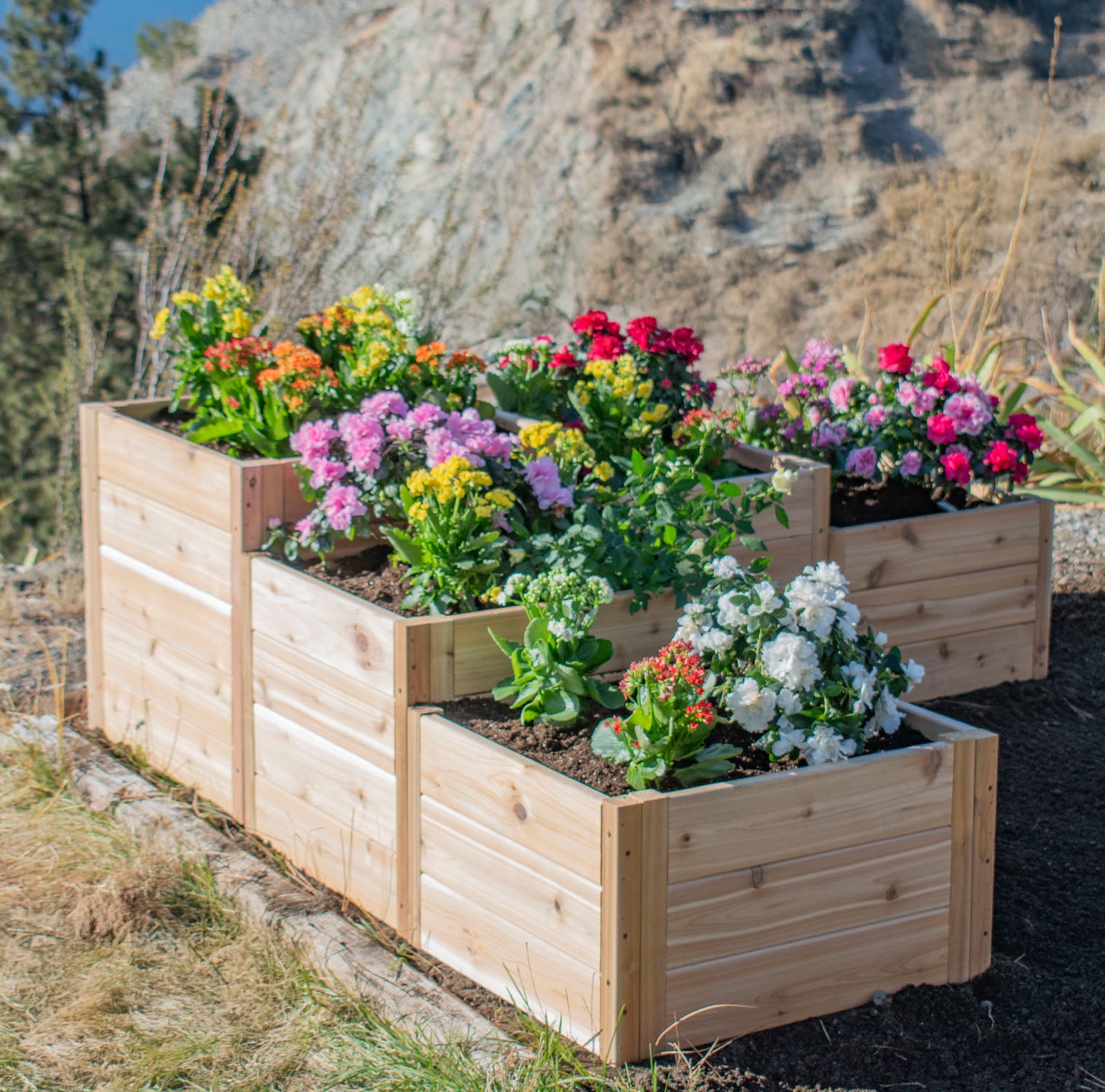 L-Shaped Tiered Cedar Garden Bed 5.5' x 2' - Eartheasy