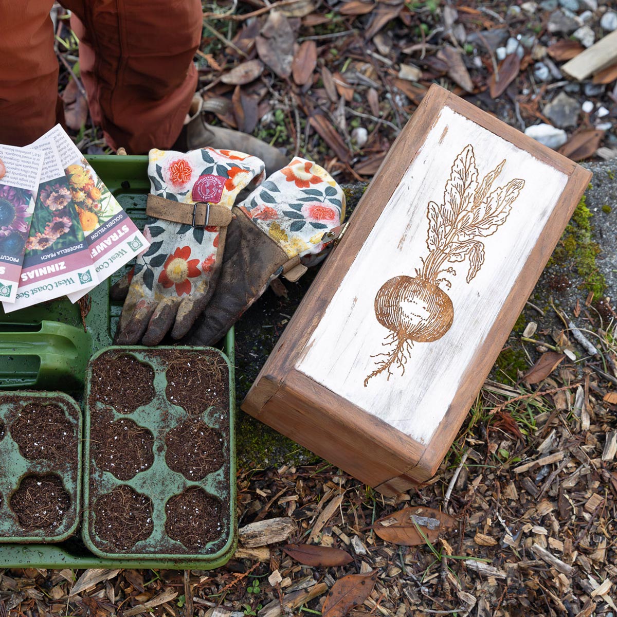 united plant savers seeds Handcrafted Seed Vault - Divided Wooden Box for Seed Storage