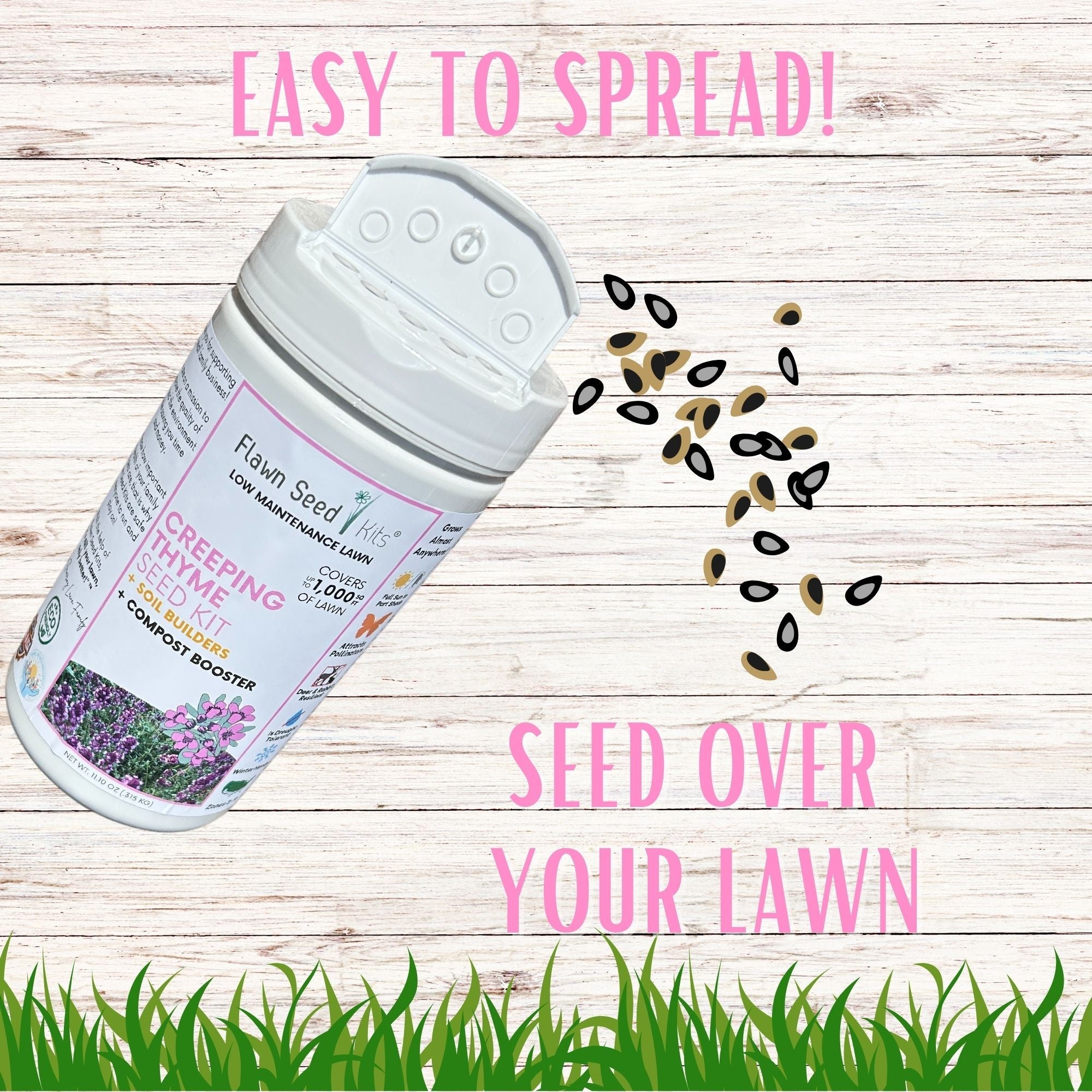 Creeping Thyme Flowering Lawn & Groundcover - Seed Kit