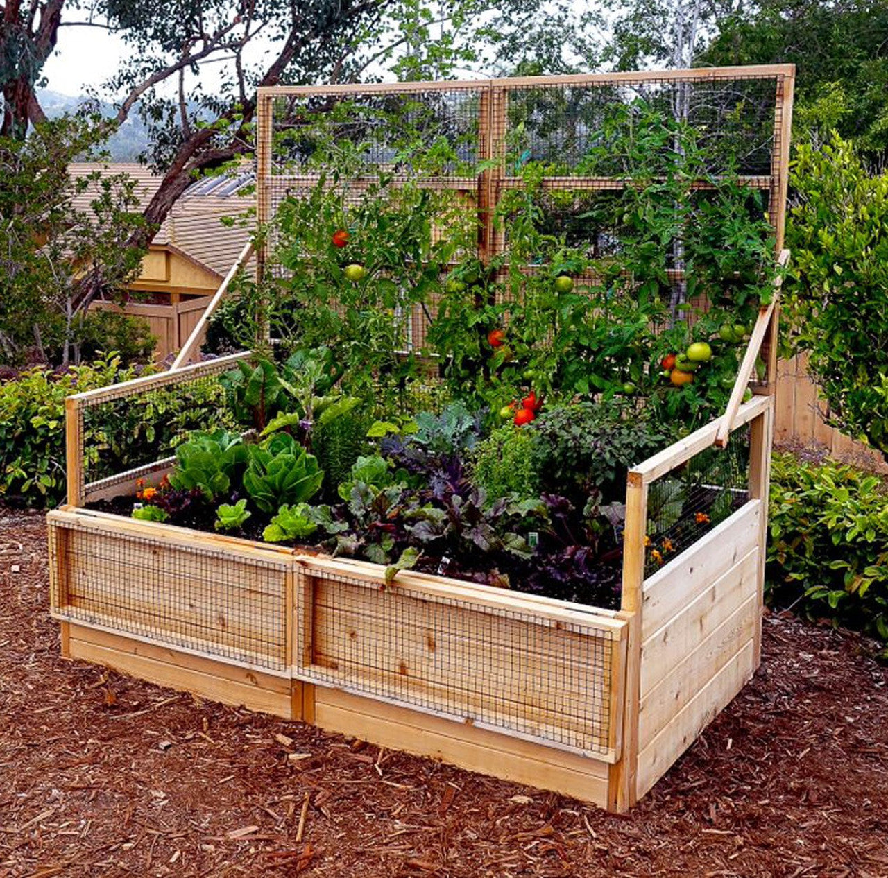 3' x 6' Raised Garden Bed With Hinged Fencing and Trellis