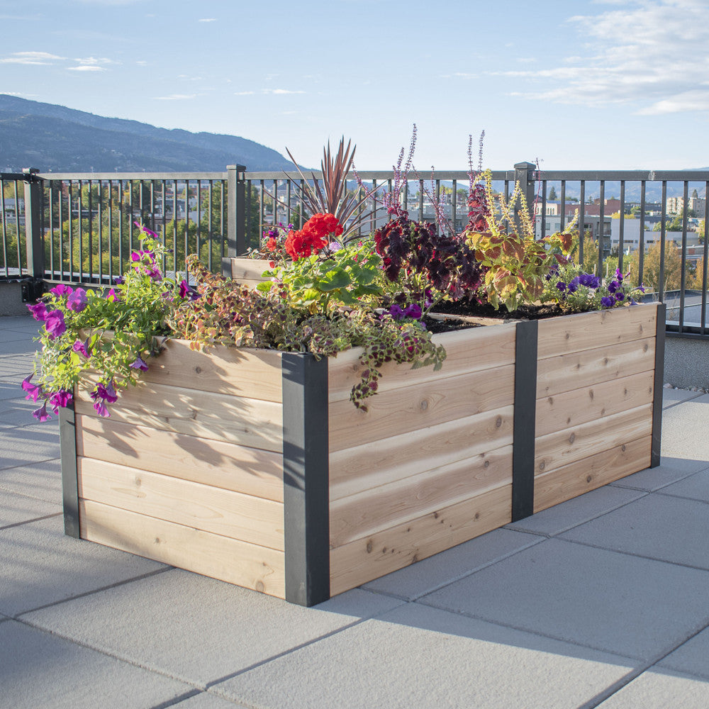 Urban Raised Garden Bed Planter 3' x 6'