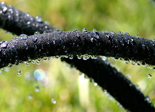 Eartheasy Soaker Hose - Thumbnail 2
