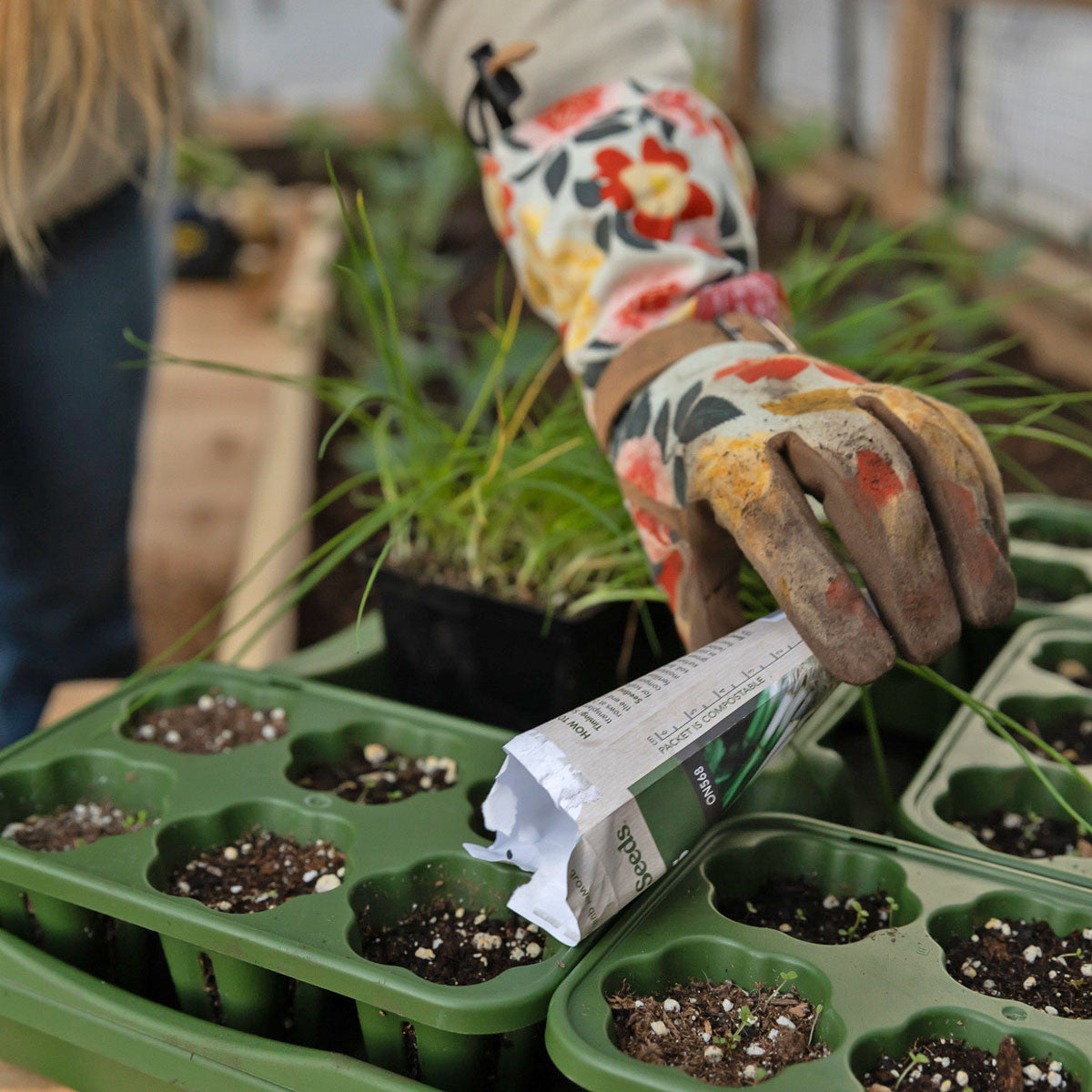 planting seeds in a raised garden Ultimate Seed Starting Kit