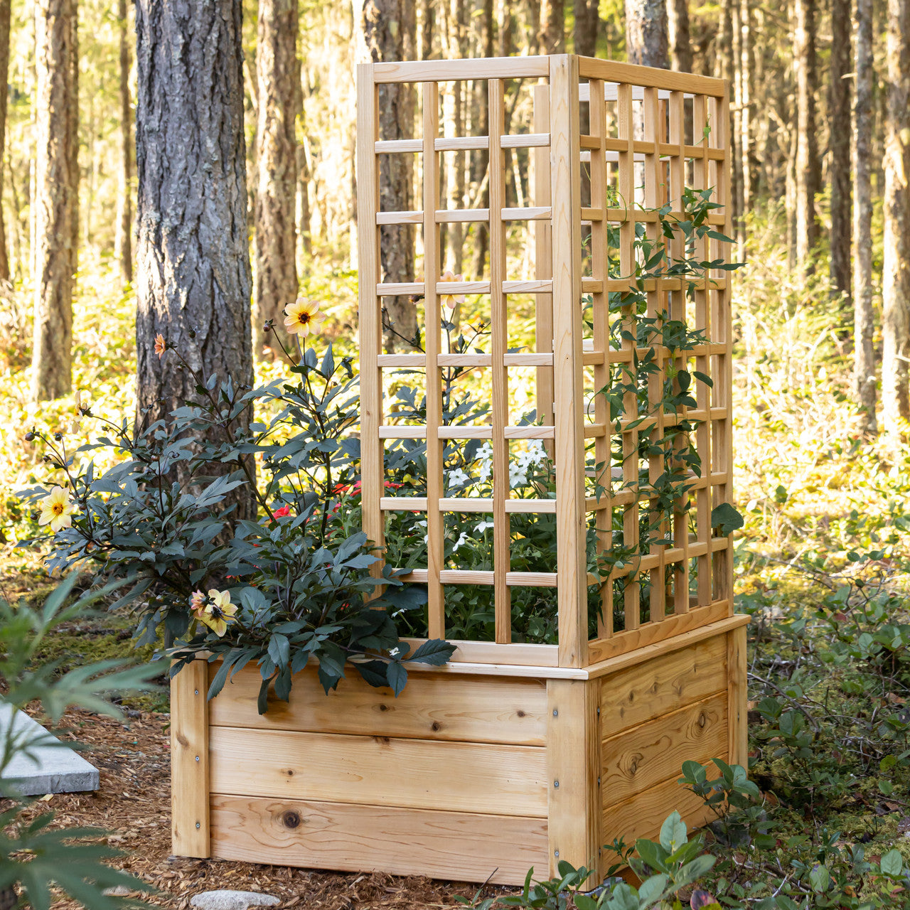 Natural Cedar Raised Beds with U-Shape Trellis
