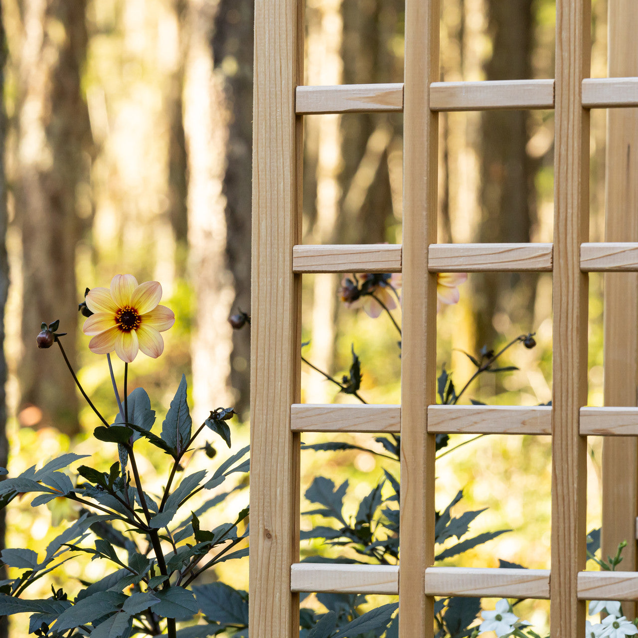 Natural Cedar Raised Beds with U-Shape Trellis
