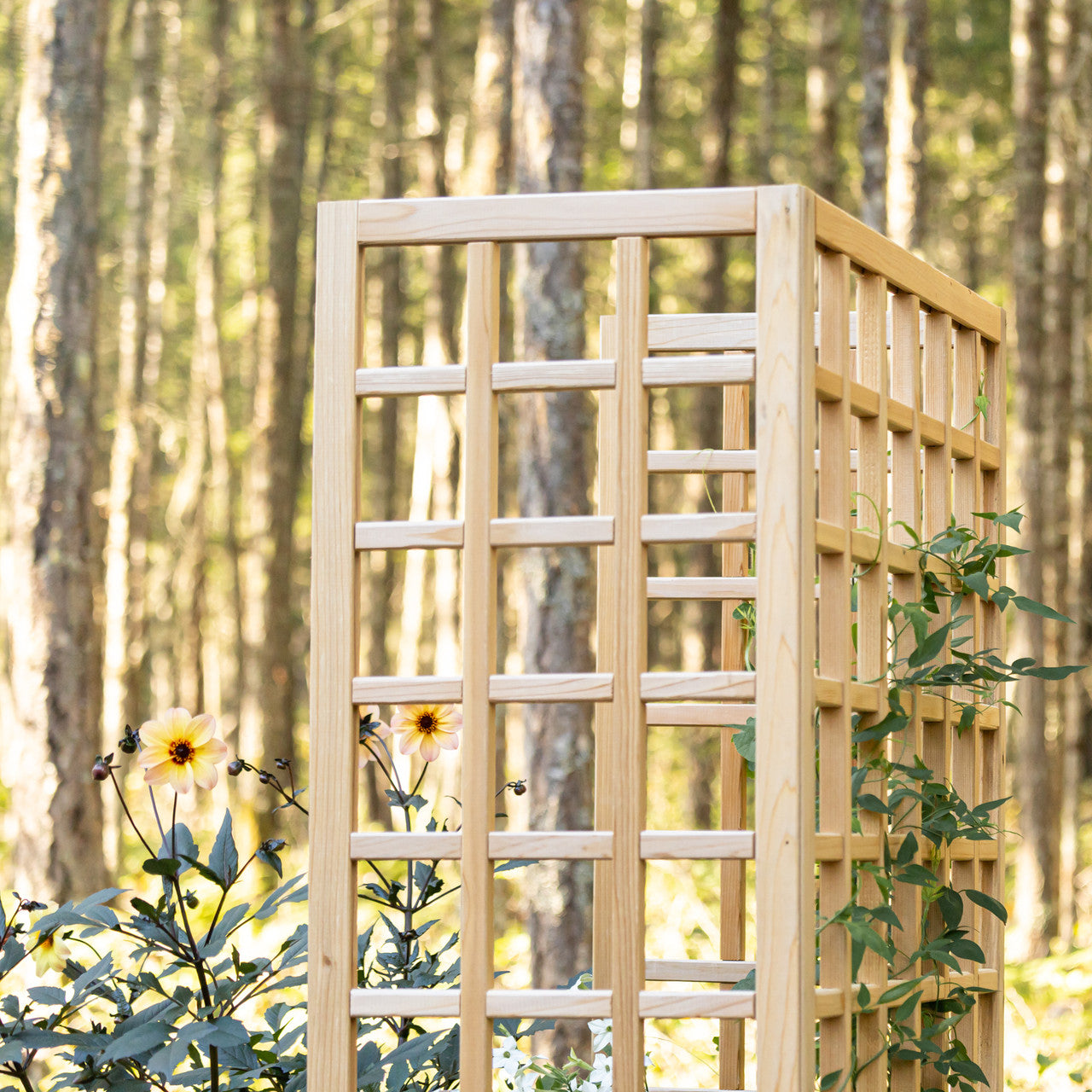 Natural Cedar Raised Beds with U-Shape Trellis