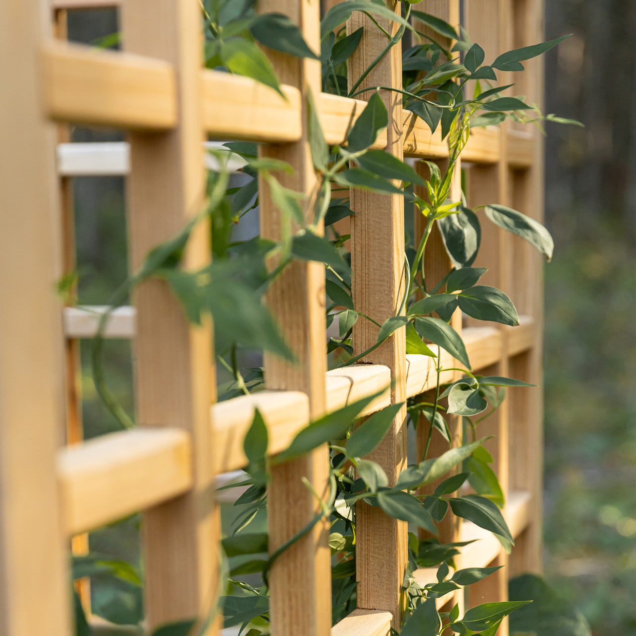 Natural Cedar Raised Beds with L-Shape Trellis