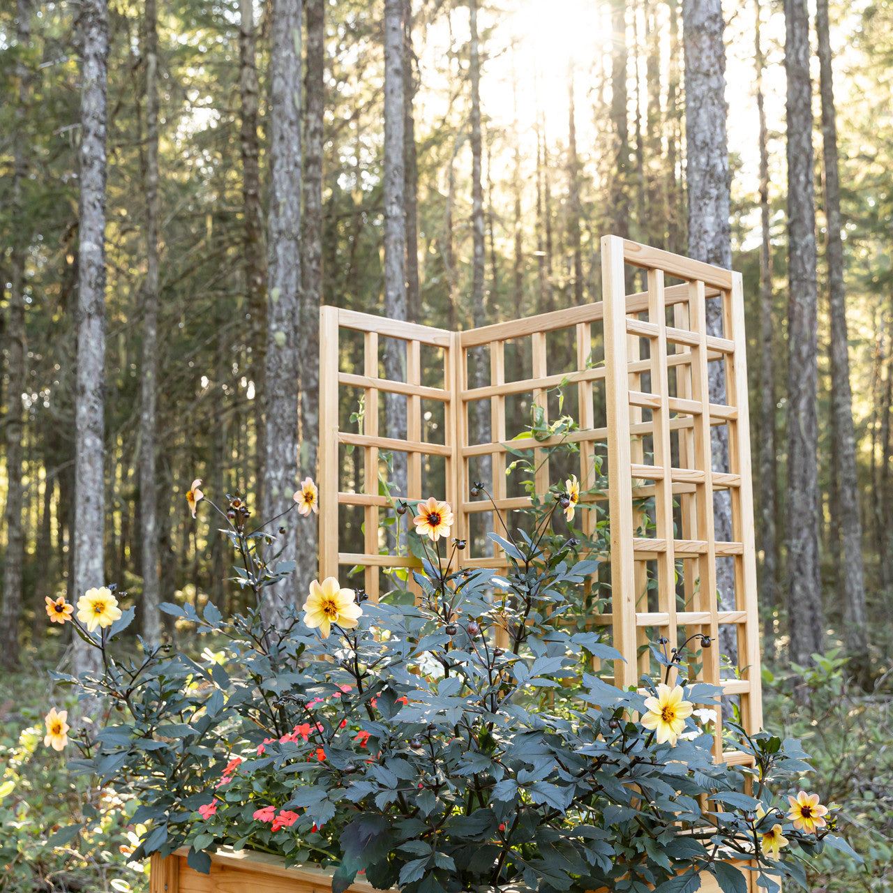 Natural Cedar Raised Beds with U-Shape Trellis