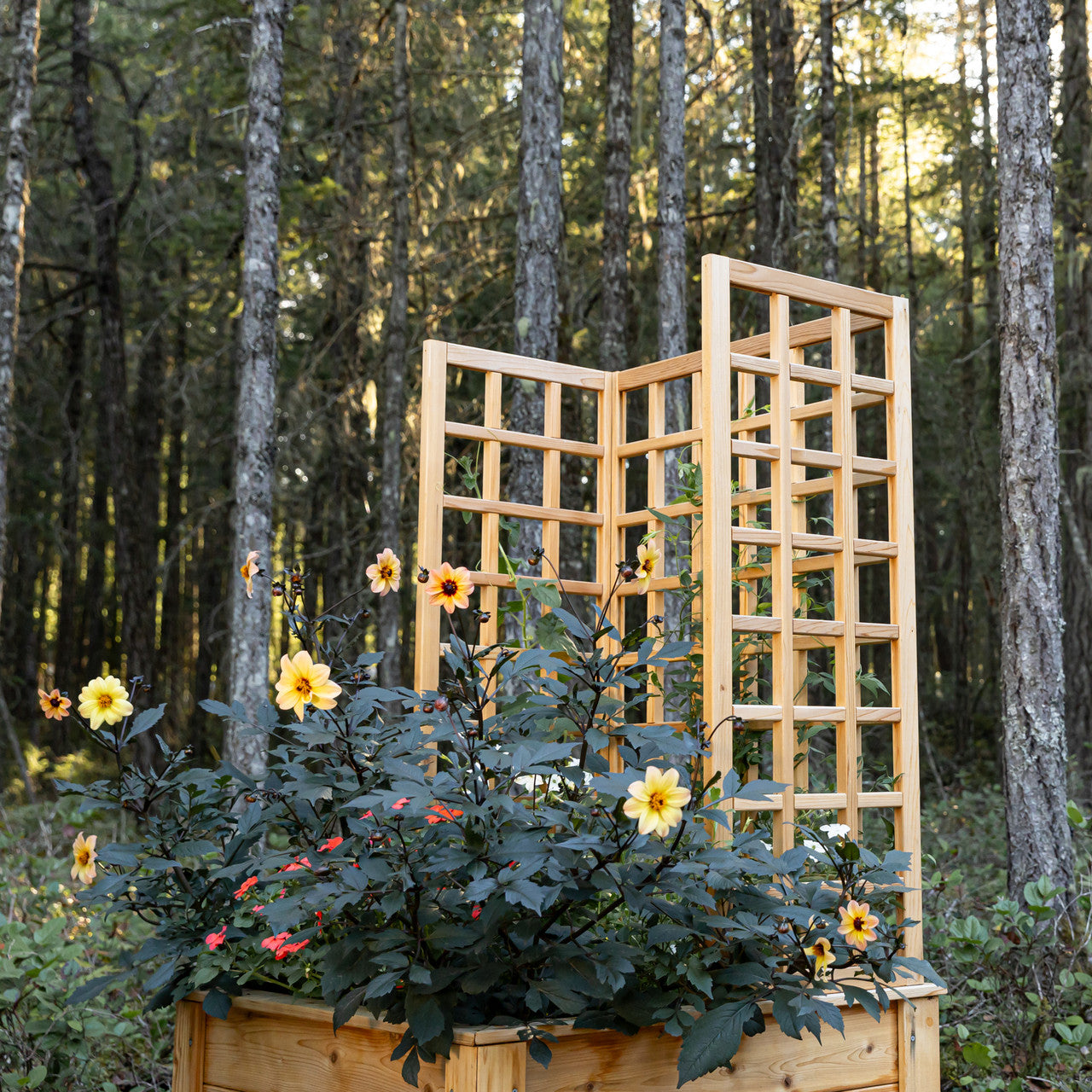 Natural Cedar Raised Beds with U-Shape Trellis