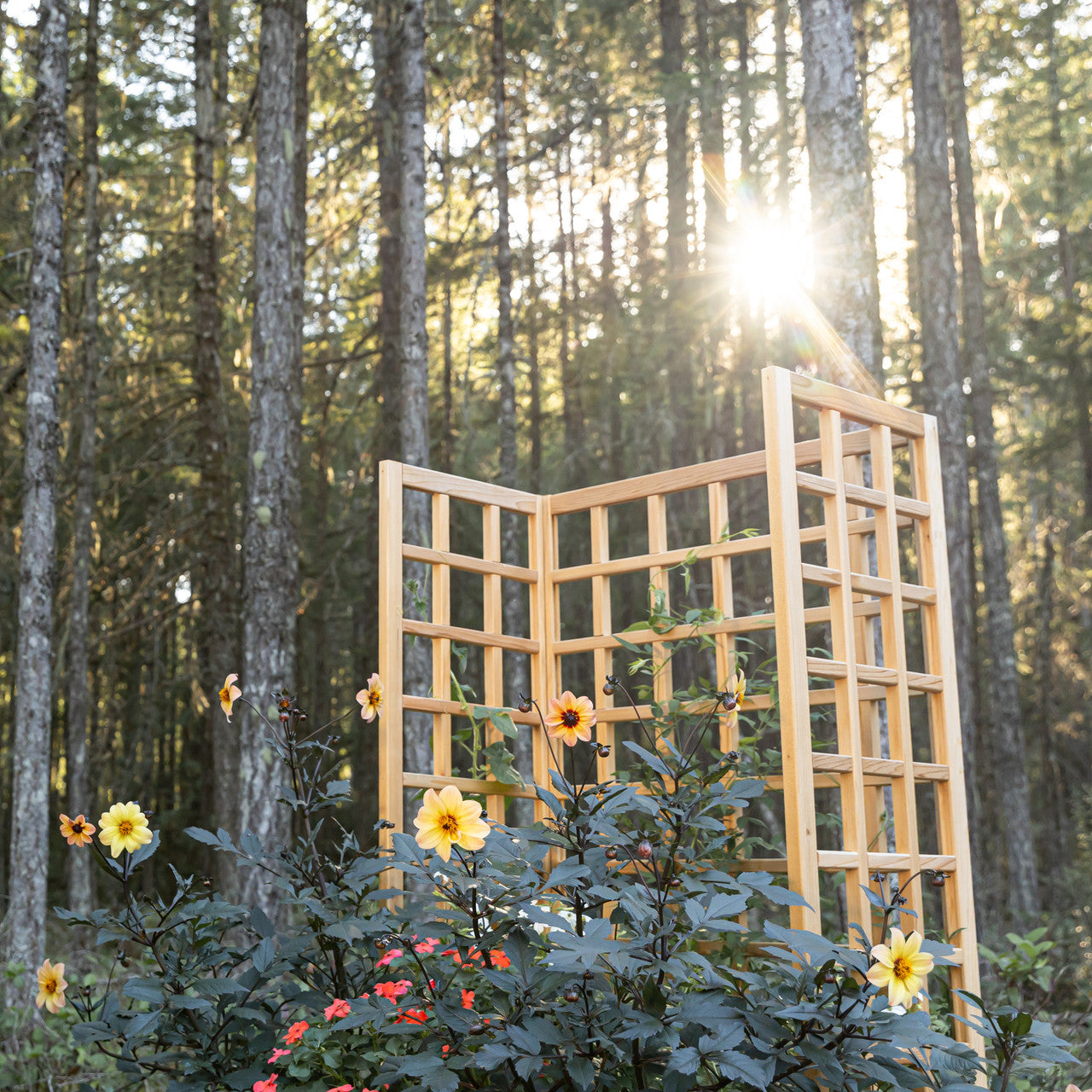 Natural Cedar Raised Beds with U-Shape Trellis