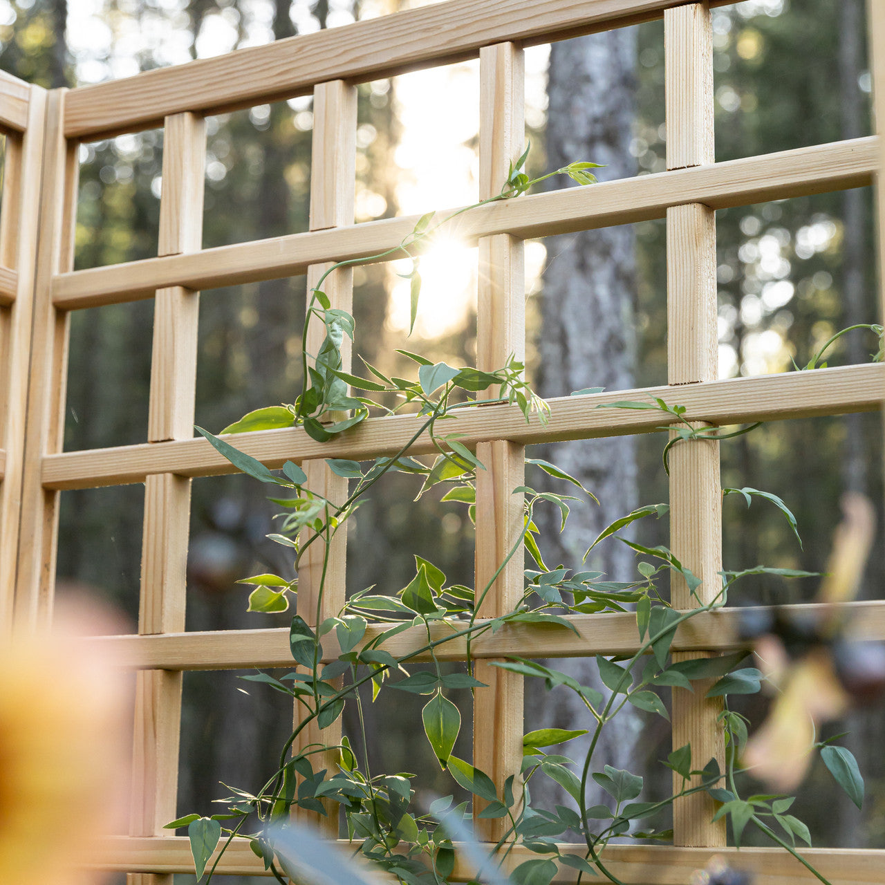 Natural Cedar Raised Beds with U-Shape Trellis