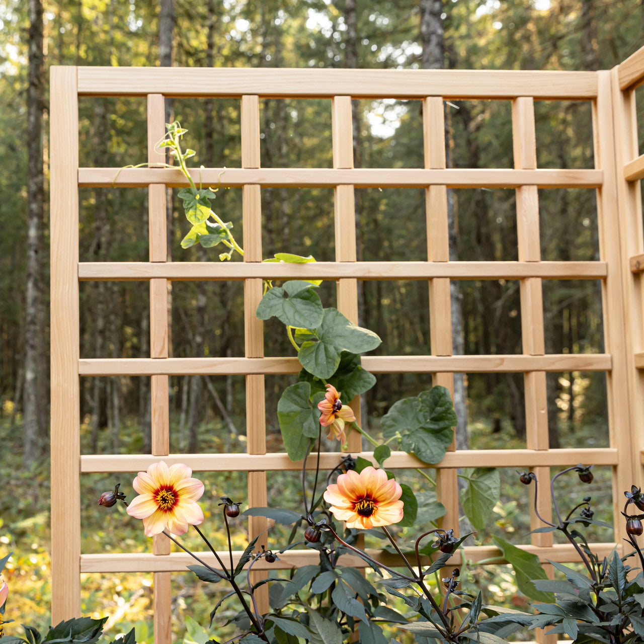 Natural Cedar Raised Beds with L-Shape Trellis
