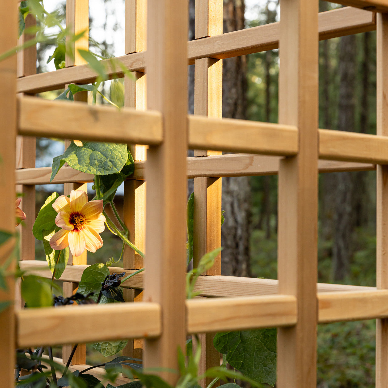 Natural Cedar Raised Beds with L-Shape Trellis
