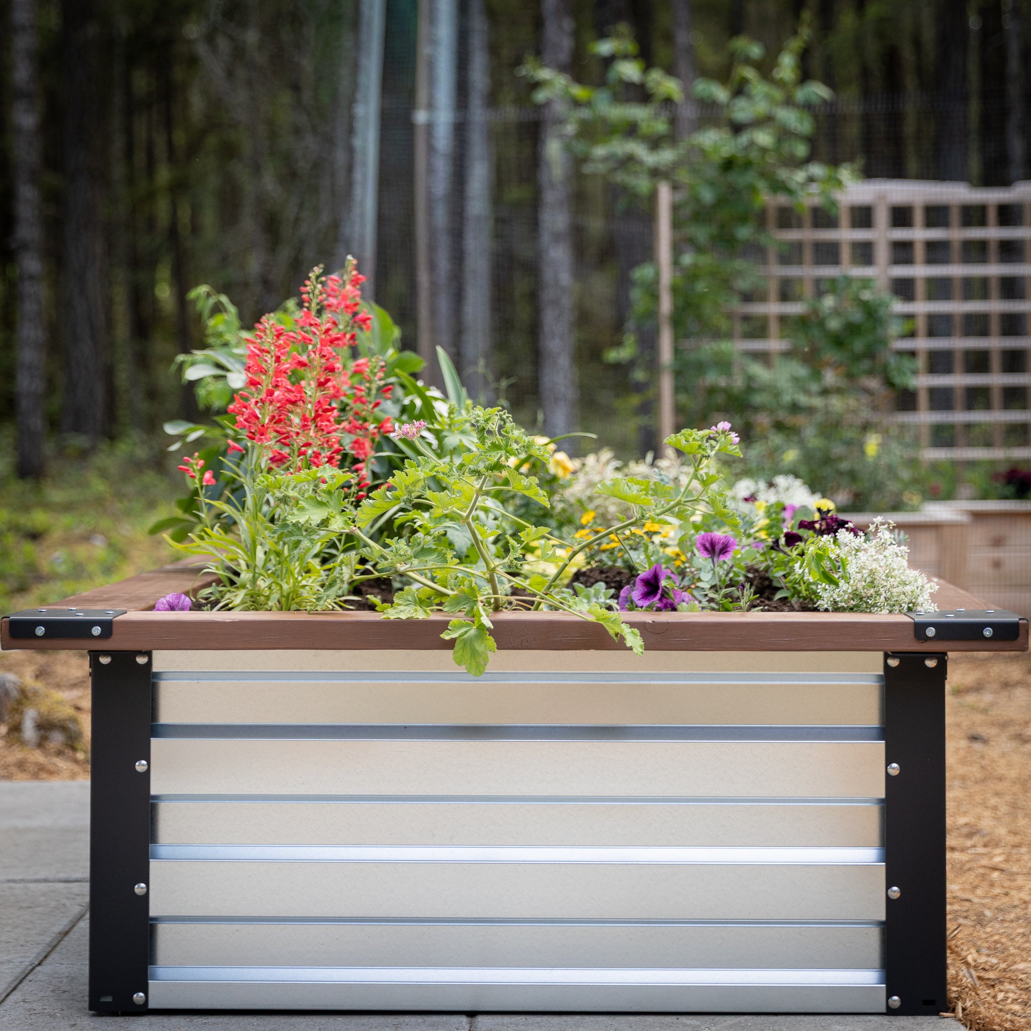 3.5' x 7' Galvanized Steel Raised Garden Bed Kit