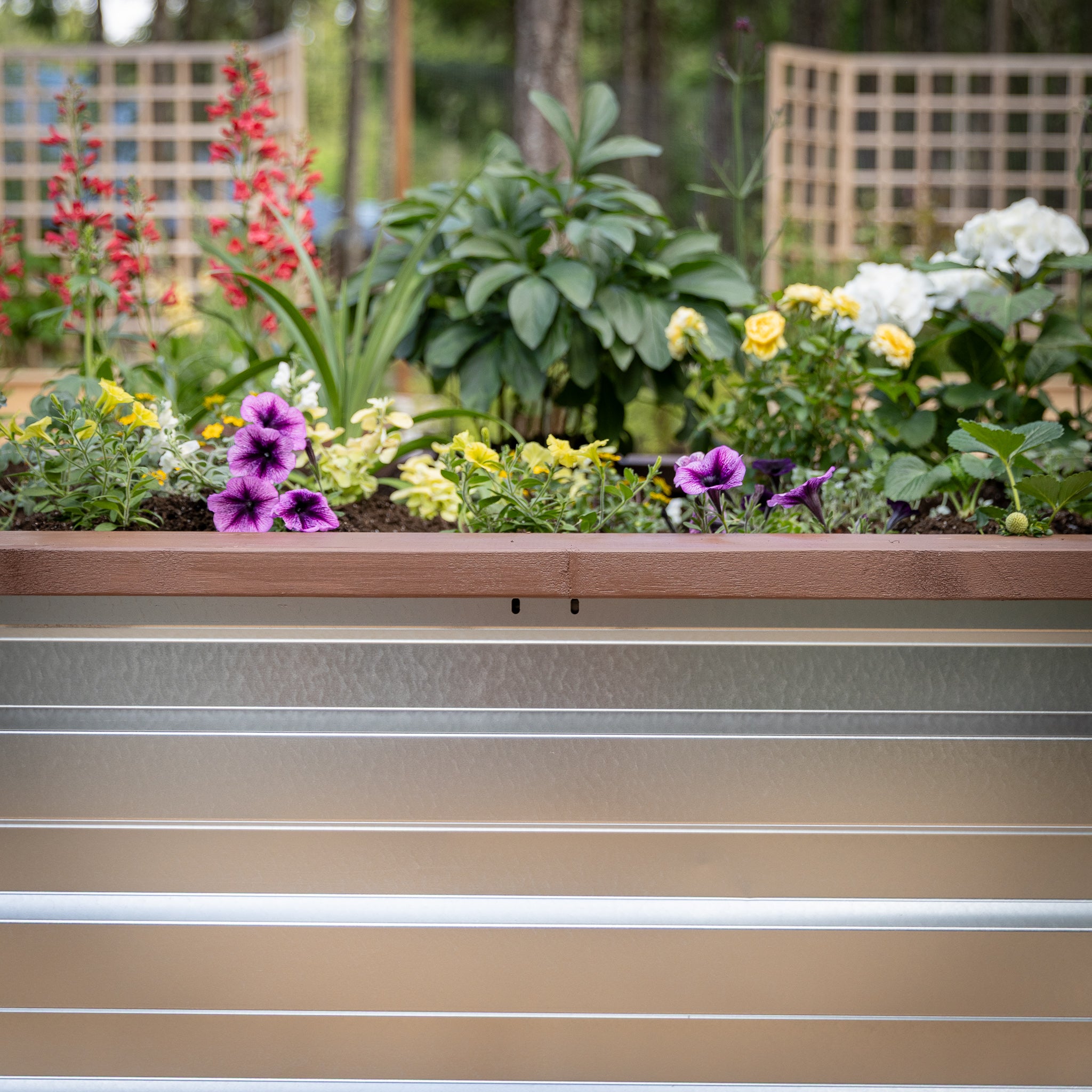 3.5' x 7' Galvanized Steel Raised Garden Bed Kit