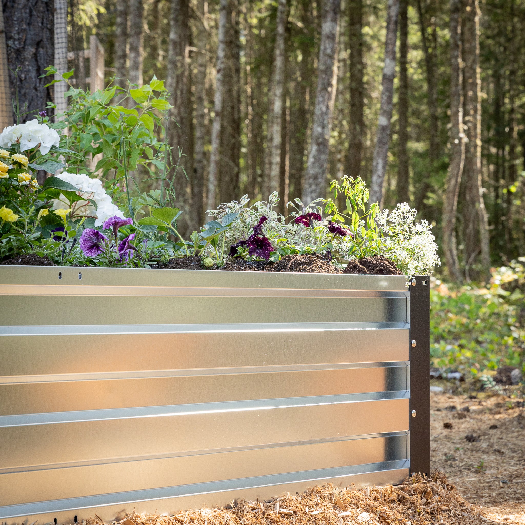 3.5' x 7' Galvanized Steel Raised Garden Bed Kit