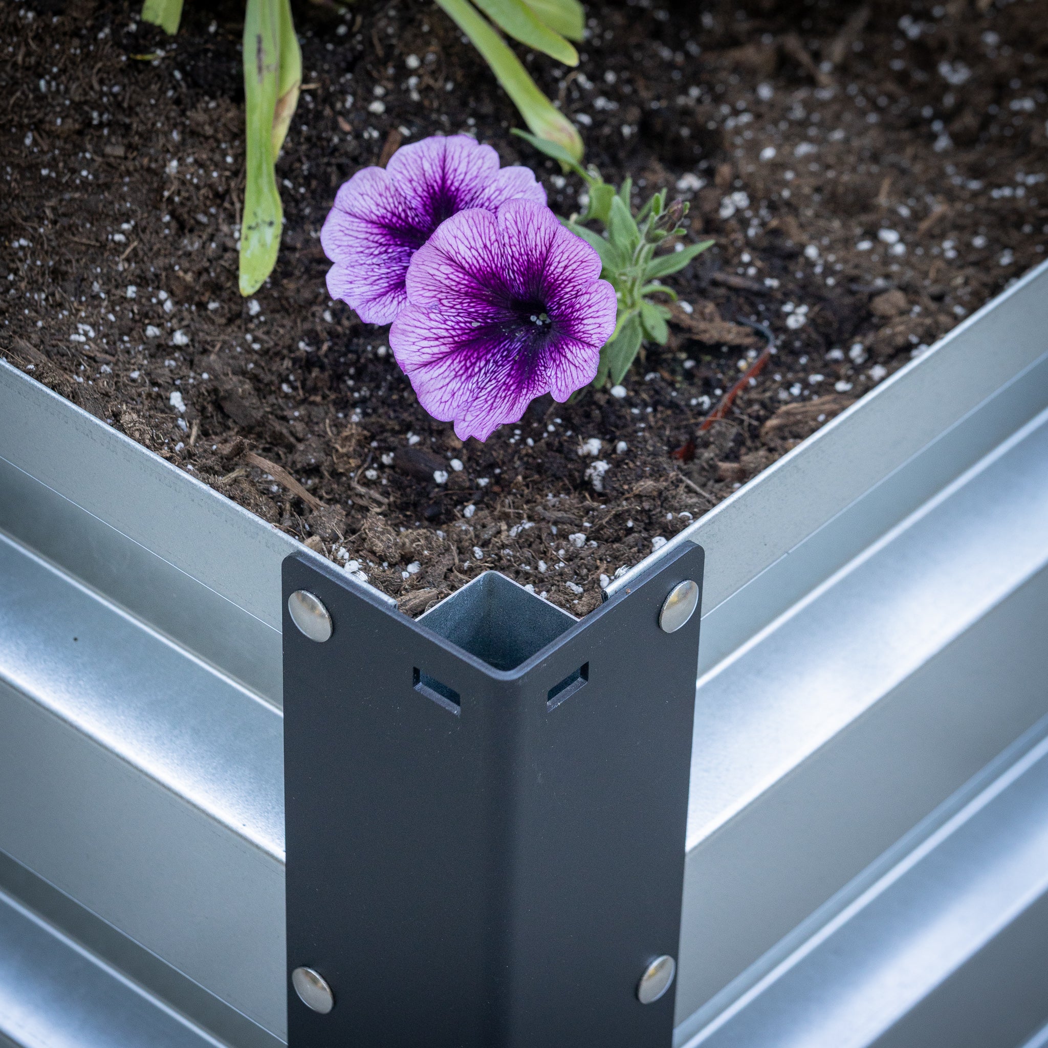 3.5' x 7' Galvanized Steel Raised Garden Bed Kit