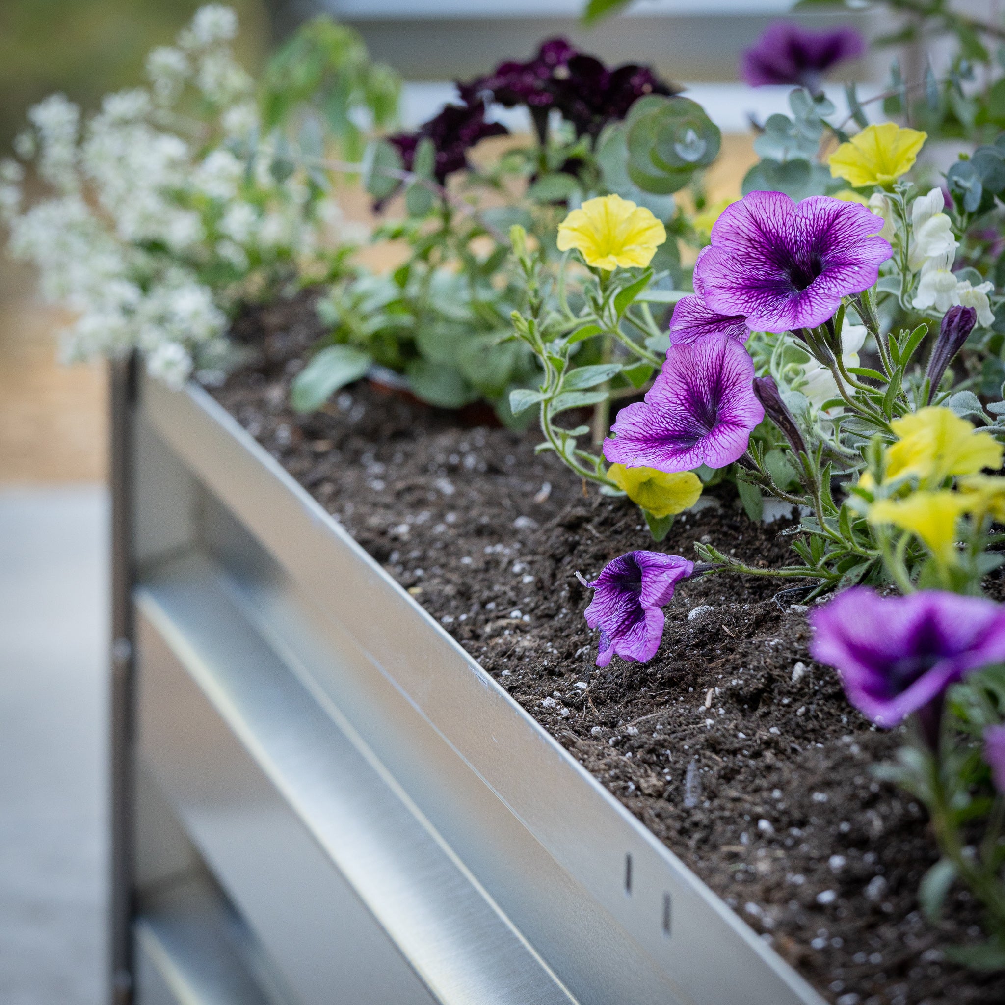 3.5' x 7' Galvanized Steel Raised Garden Bed Kit