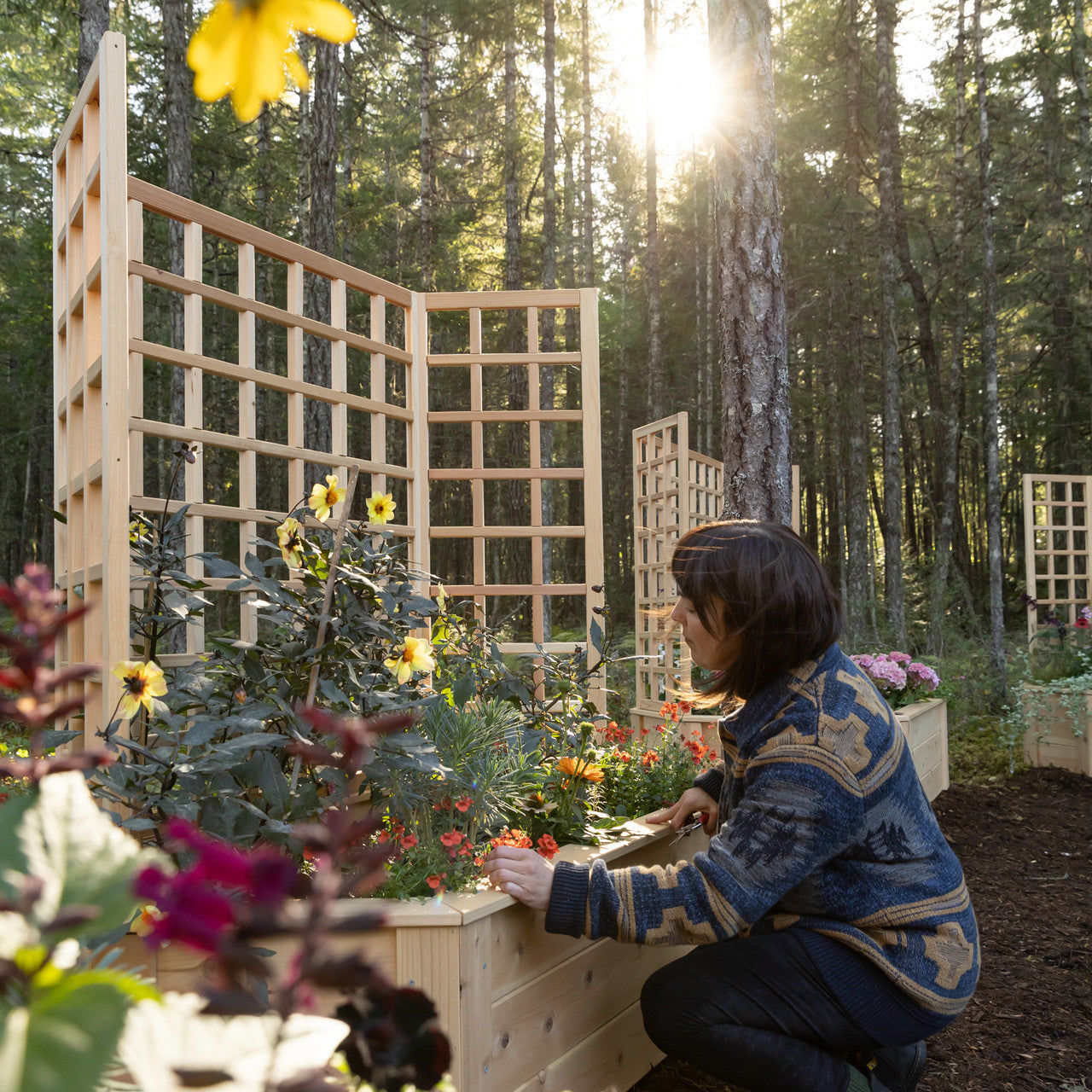 Natural Cedar Hexagon Raised Beds with Trellis