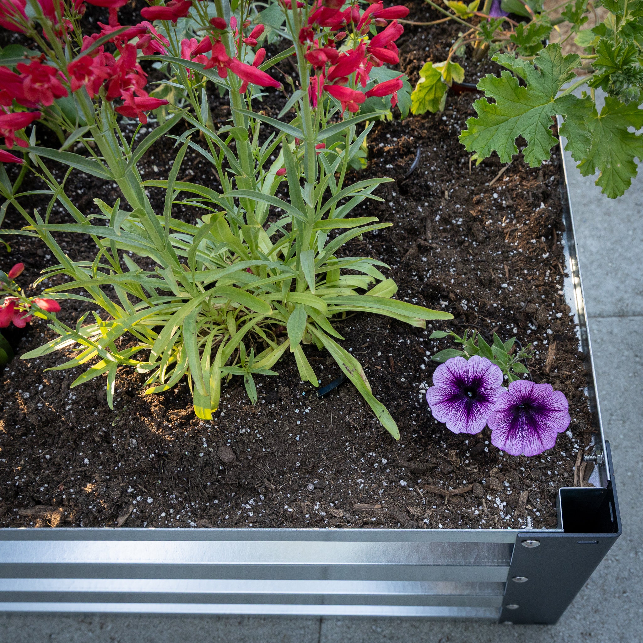 3.5' x 7' Galvanized Steel Raised Garden Bed Kit